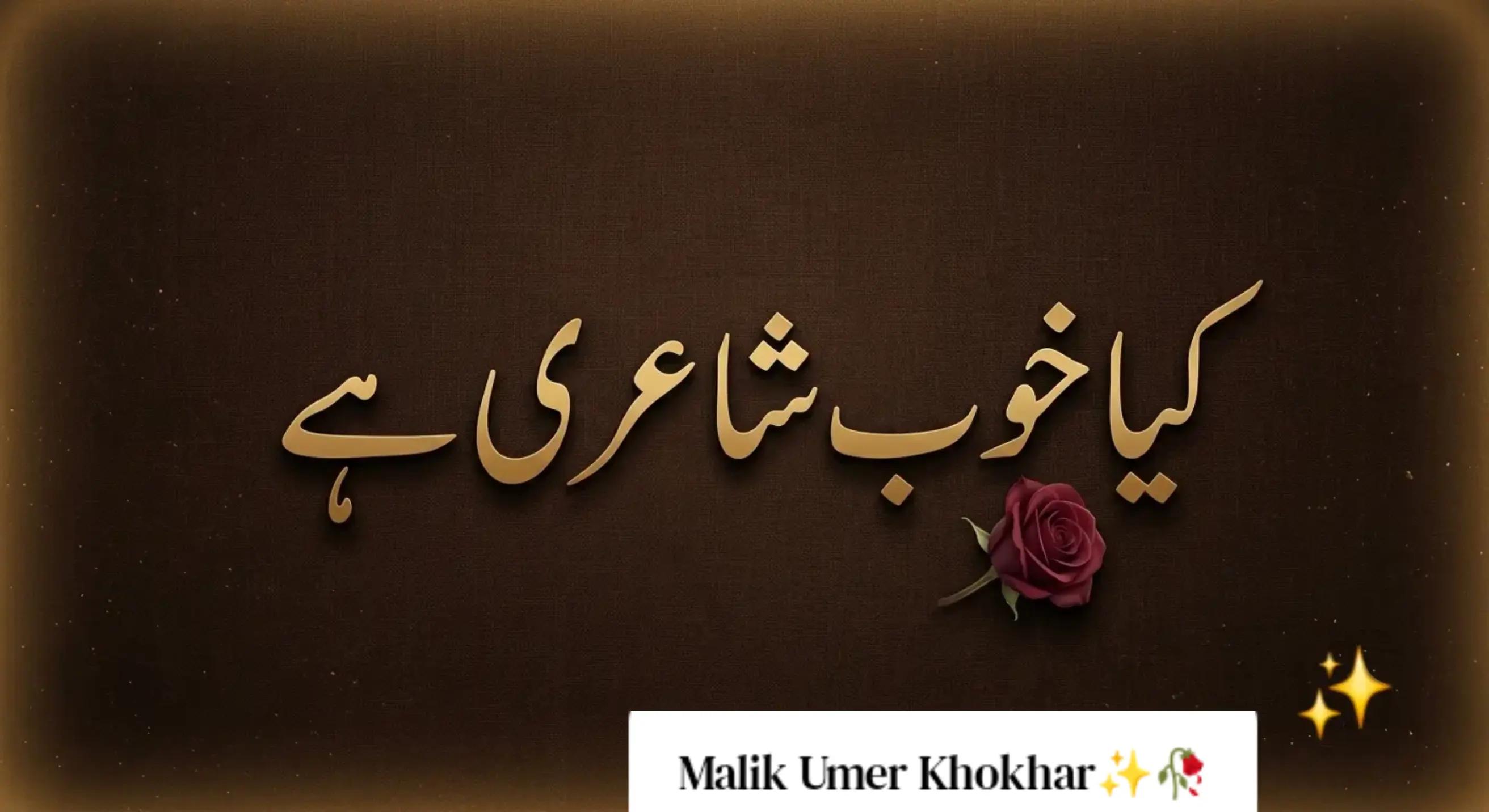 @🦁▄︻̷̿┻̿═━一 Umer Khokhar 💪