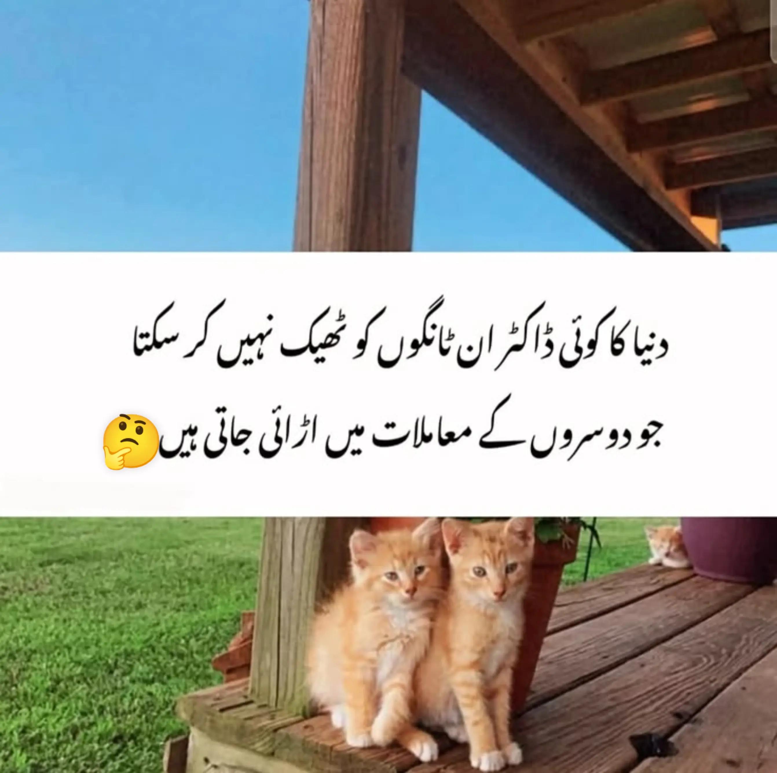 @✒️ قلمِ عشق ✒️