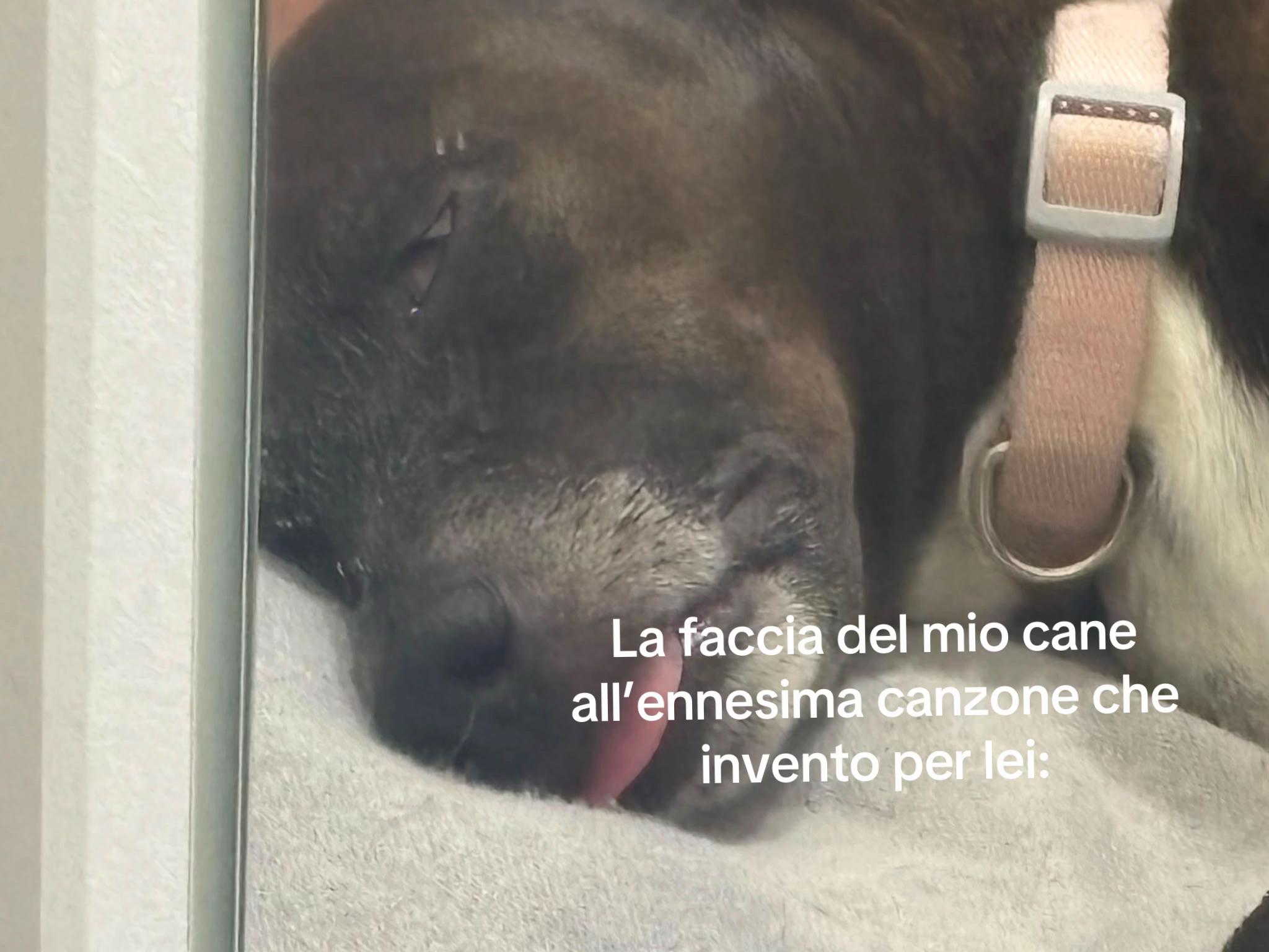 @Teresa Vinci