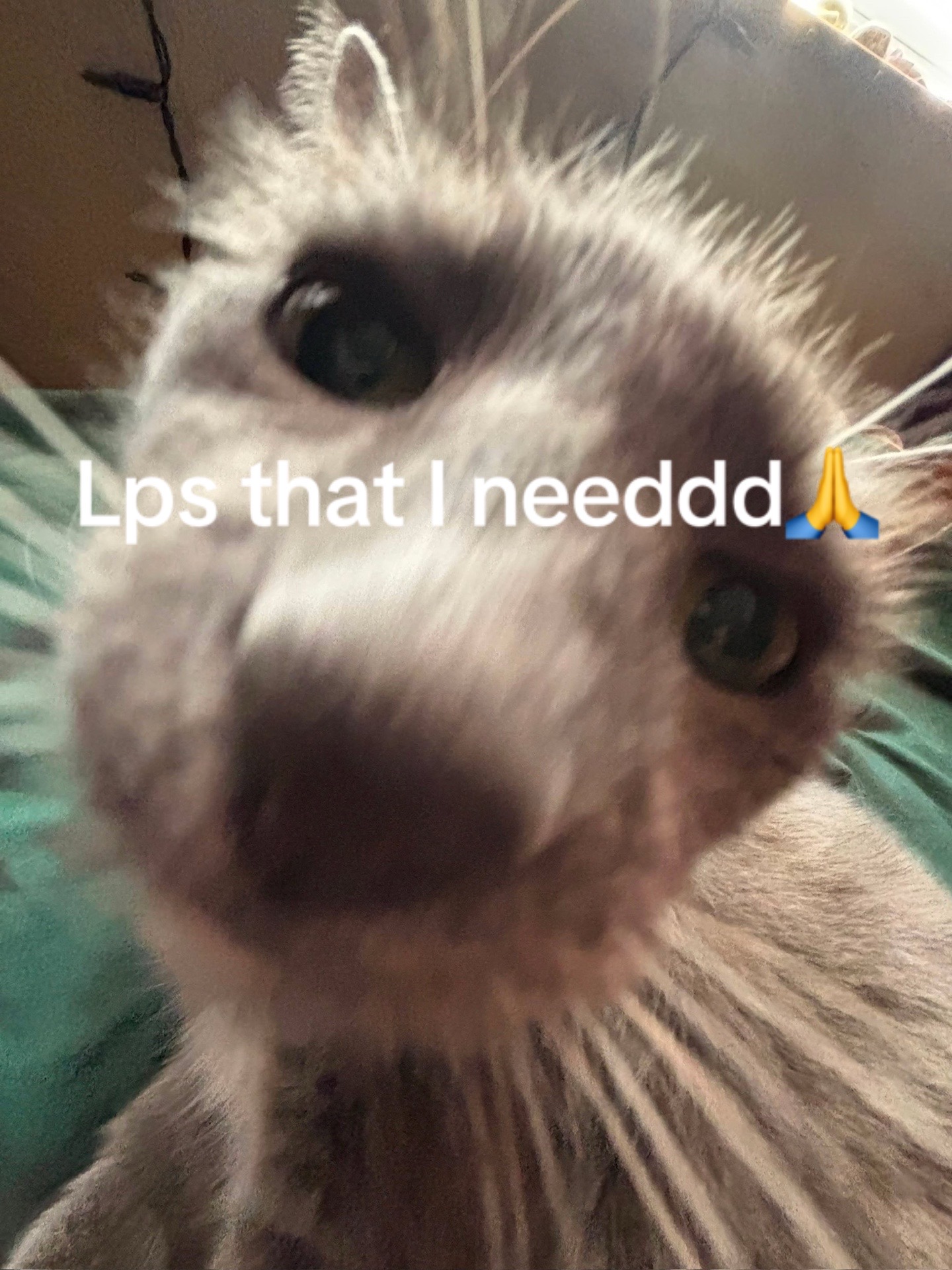 @itz.h4r1ey🌀🧿🍃
