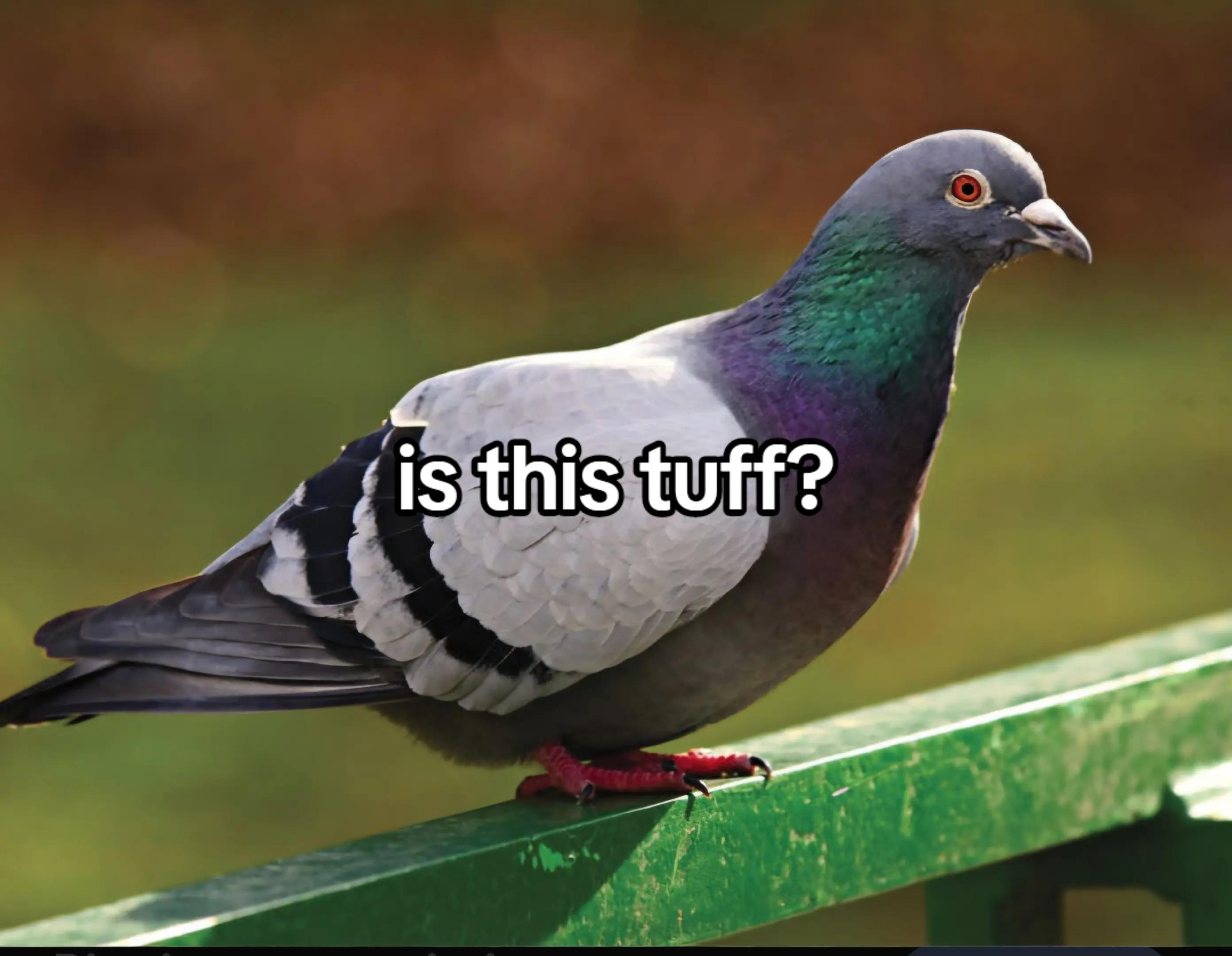 @relateable