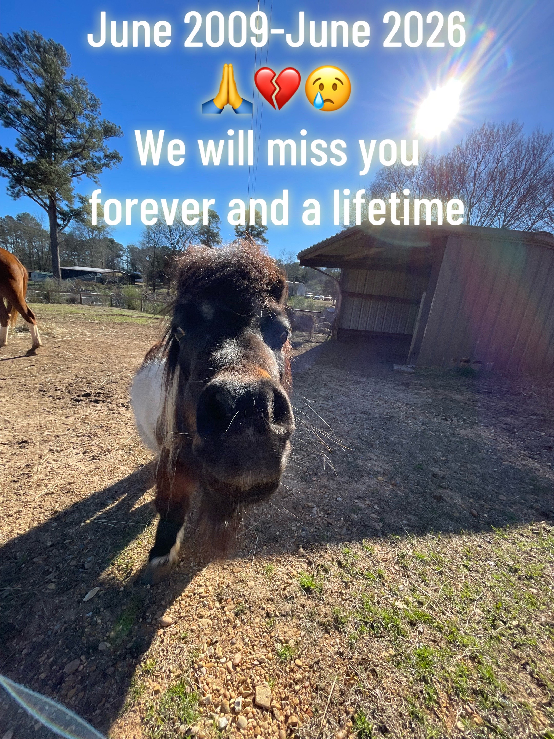 @Cedarhill Animal Sanctuary
