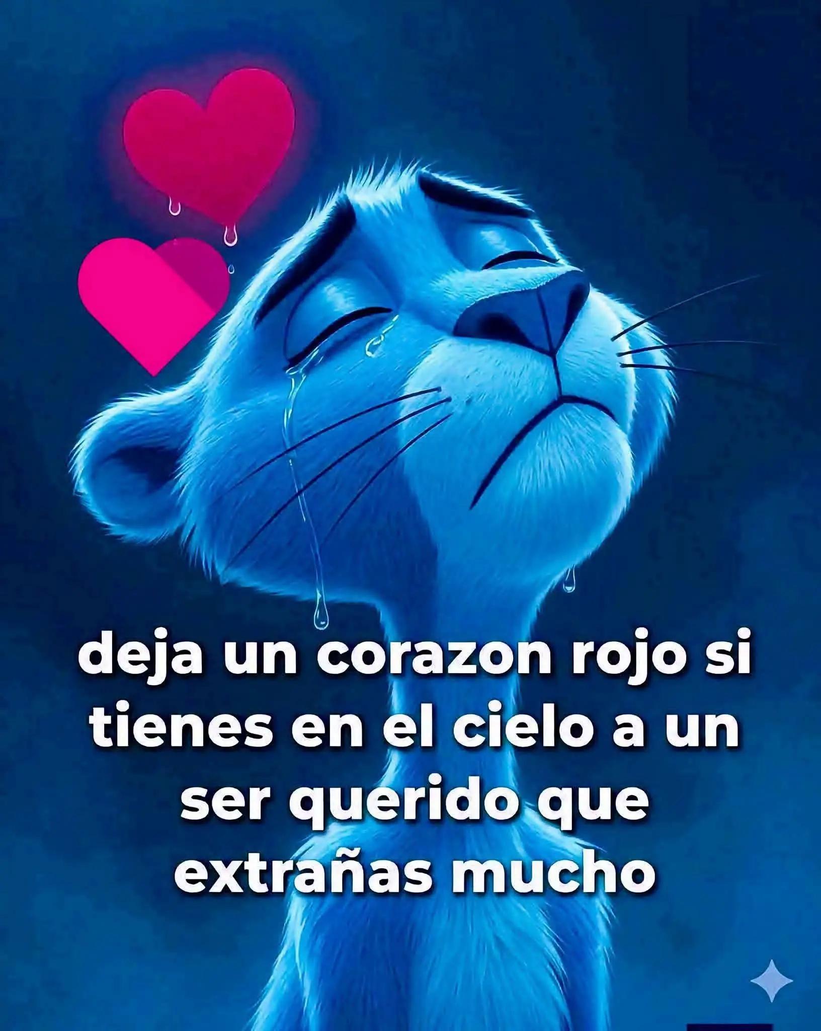 @Ana Lemus