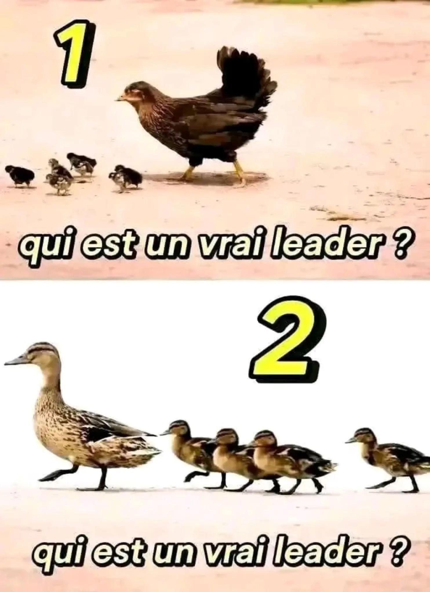 @Mimvwesh 😘🥰