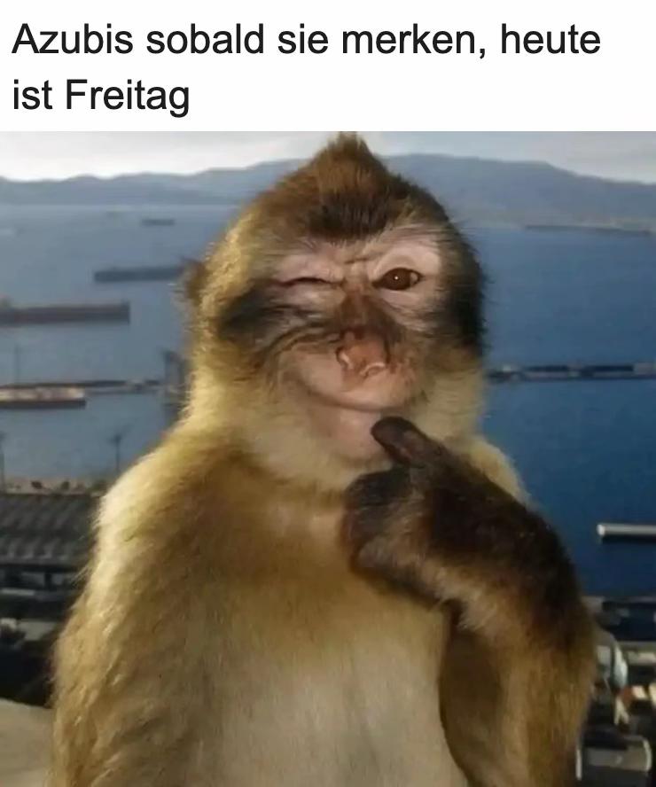 @Azubibericht