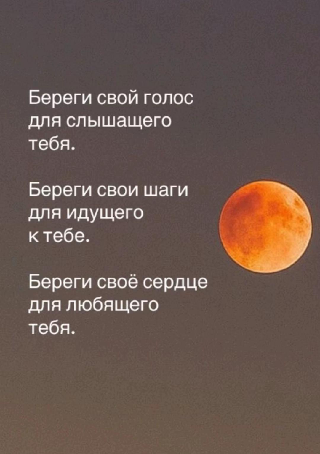 @Elvin Gasanov