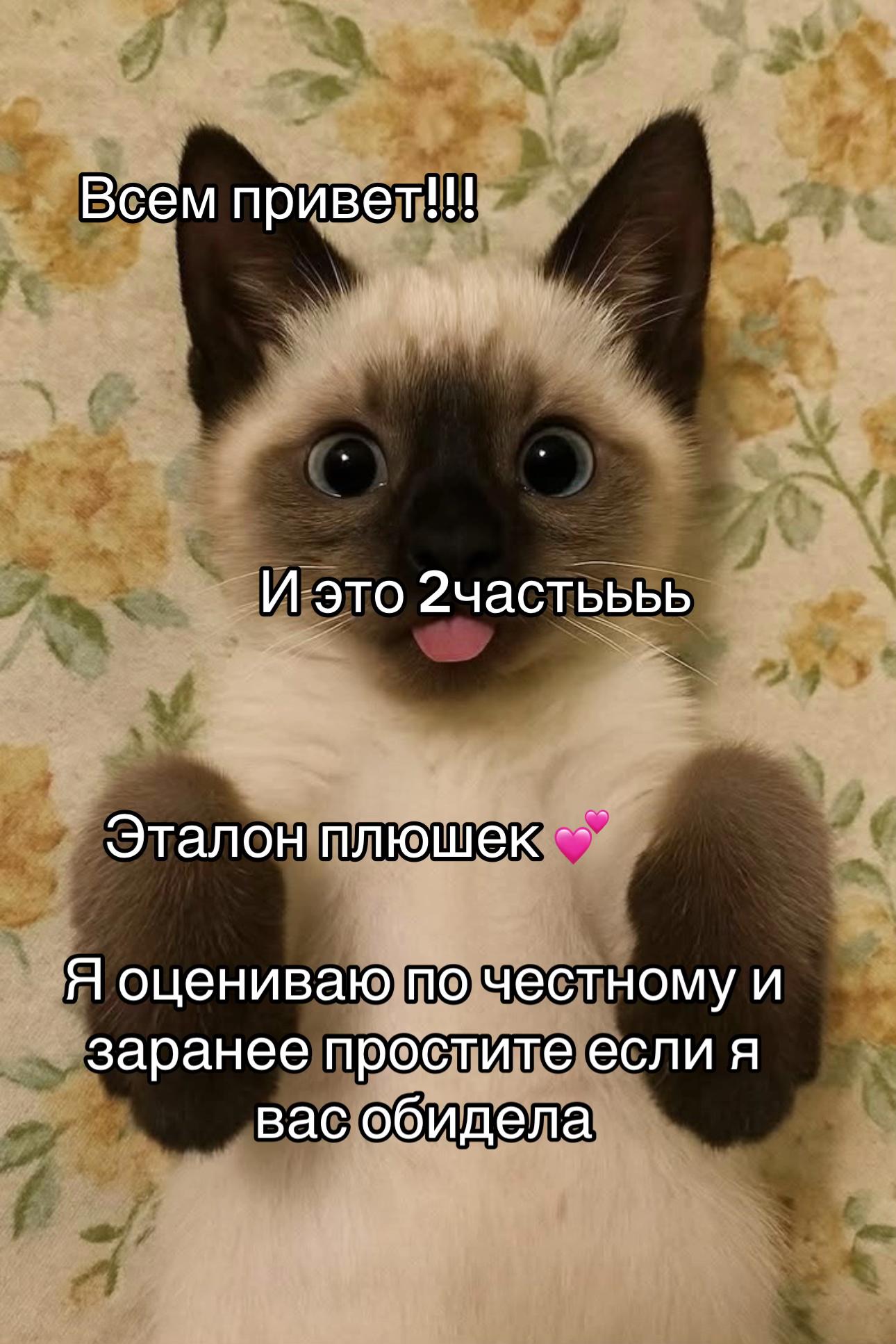 @🪼#꧁༺Meluri ༻꧂ ┆ᴘᴅʙ┆٭★🐾