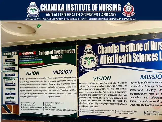 @Chandka Institute Nursing Lark
