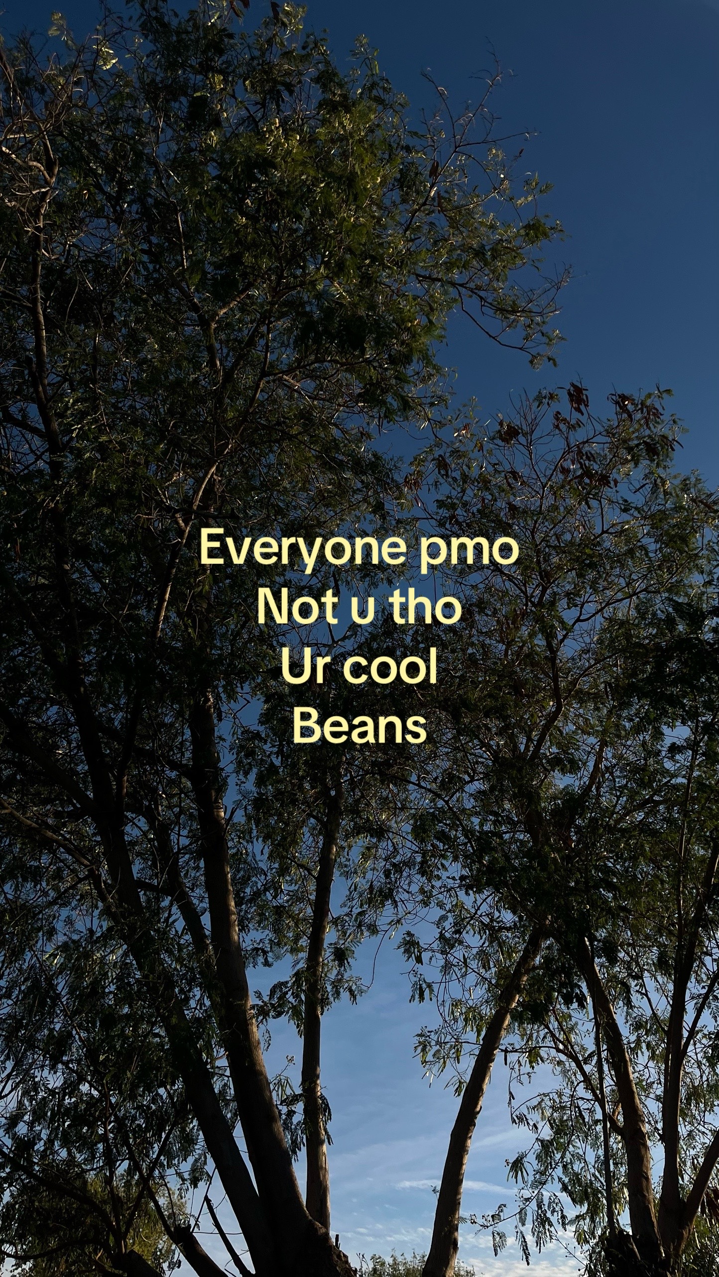 @🖤