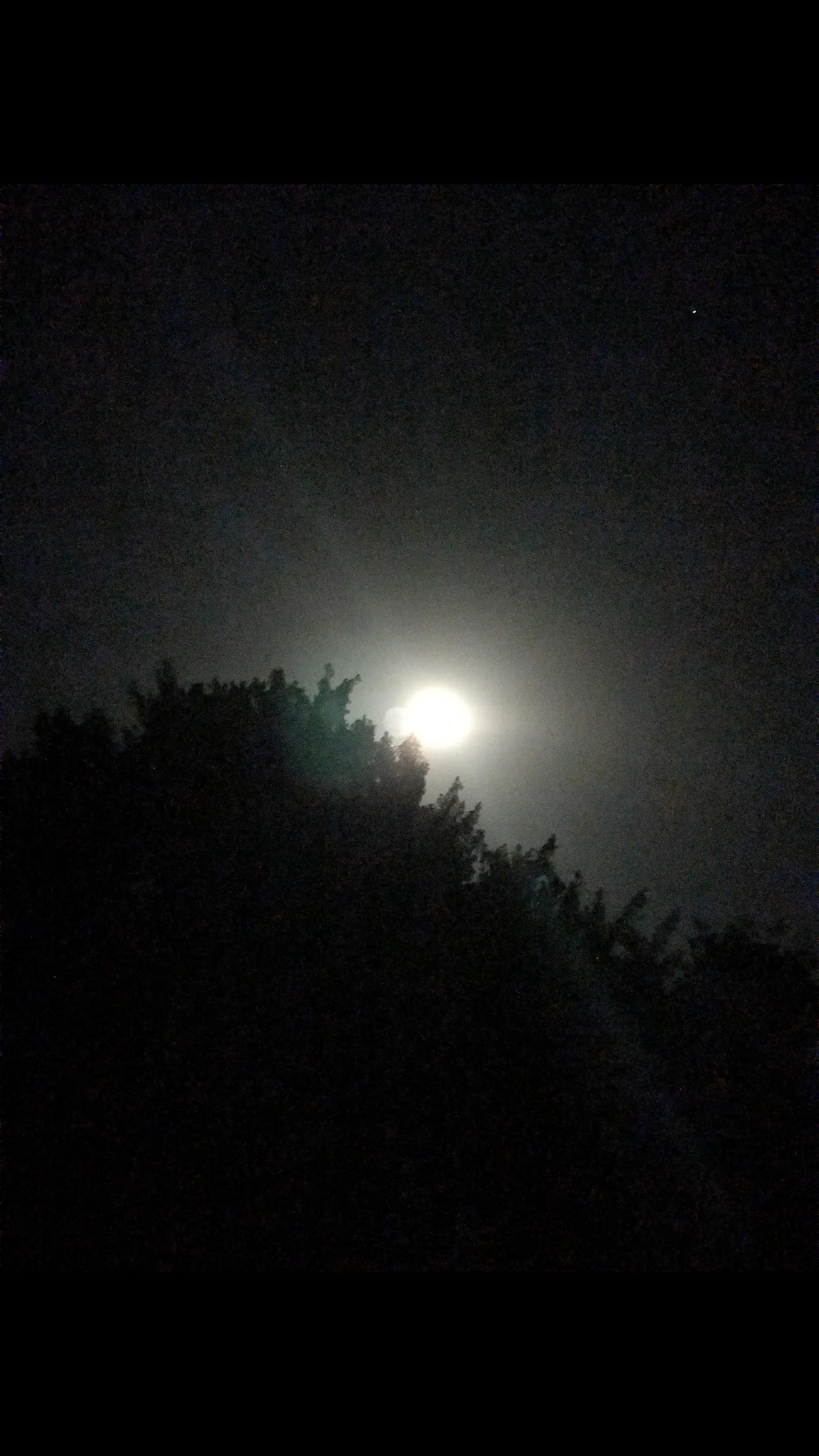 @Krishna Adhikari