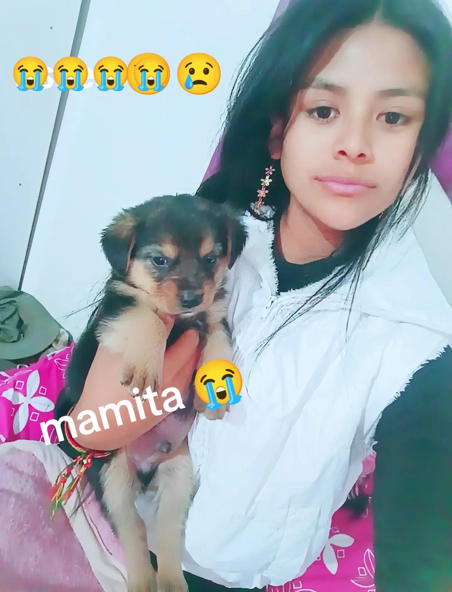 @🥺🌻Mary Ramos Yucra 🥺🌻