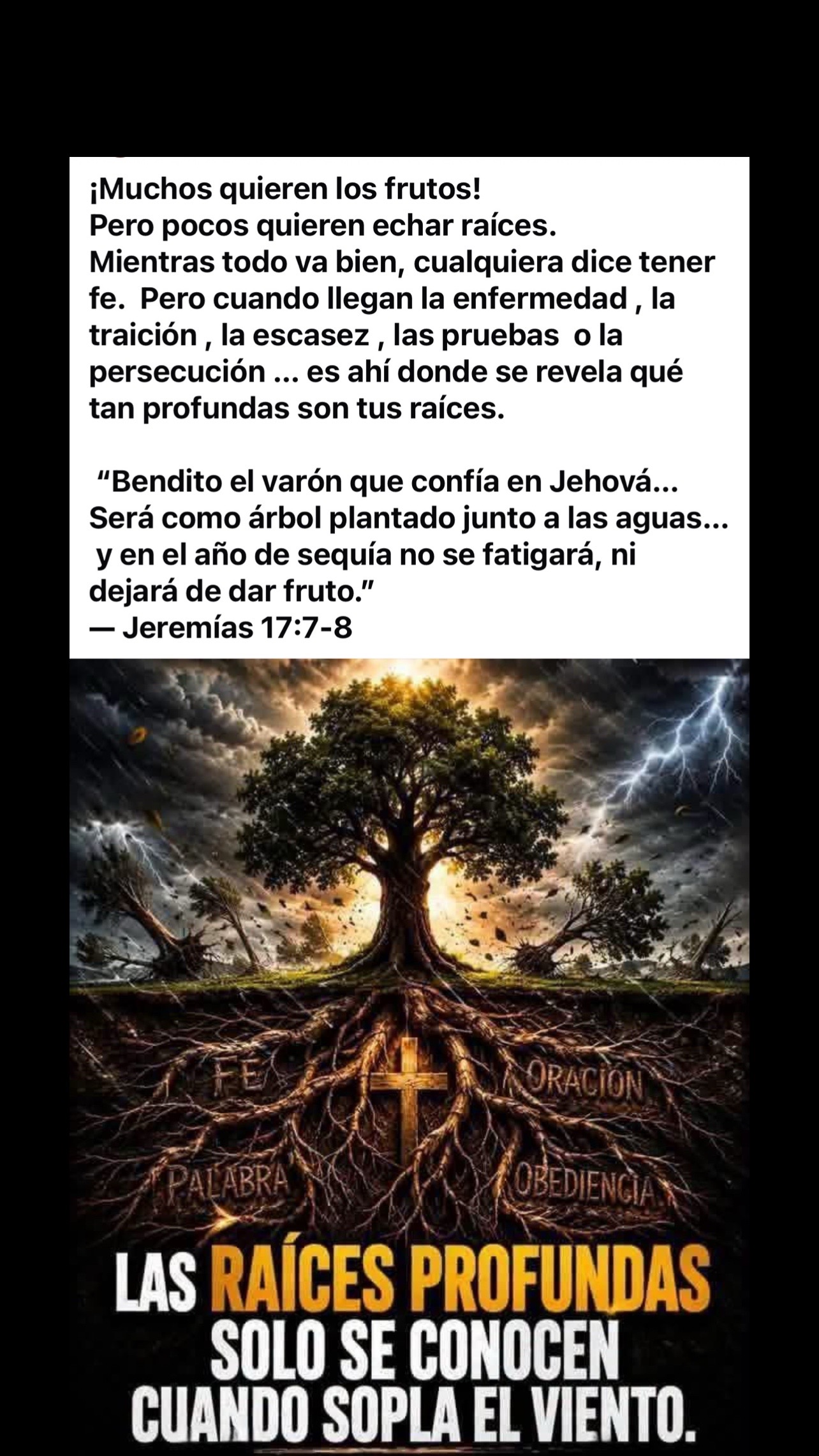 @Ministerio Luz a las Naciones