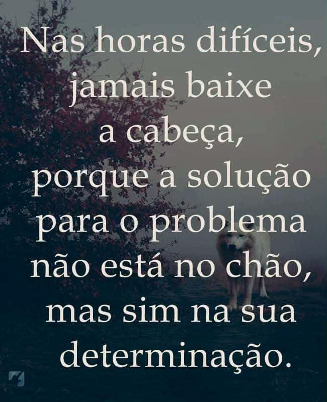@reflexoes_davida