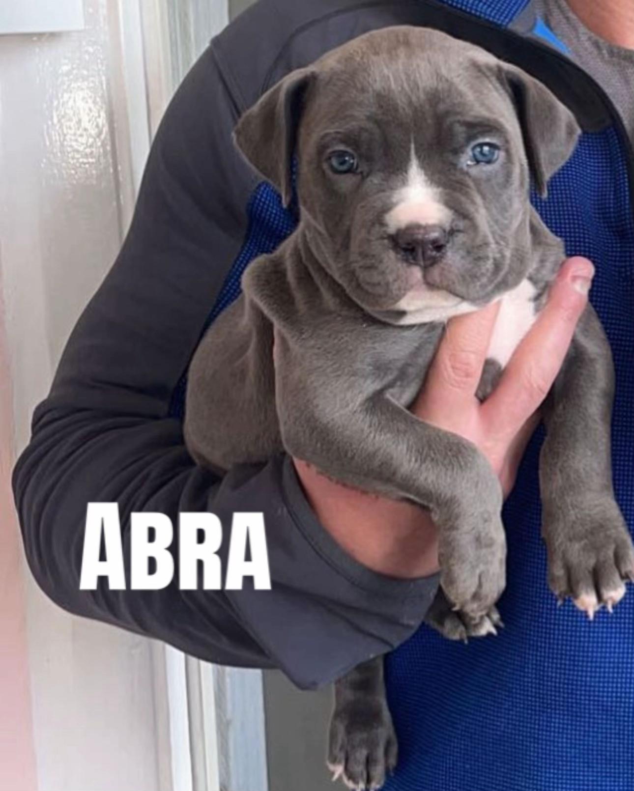 @Amy, Narla & Mika🌷