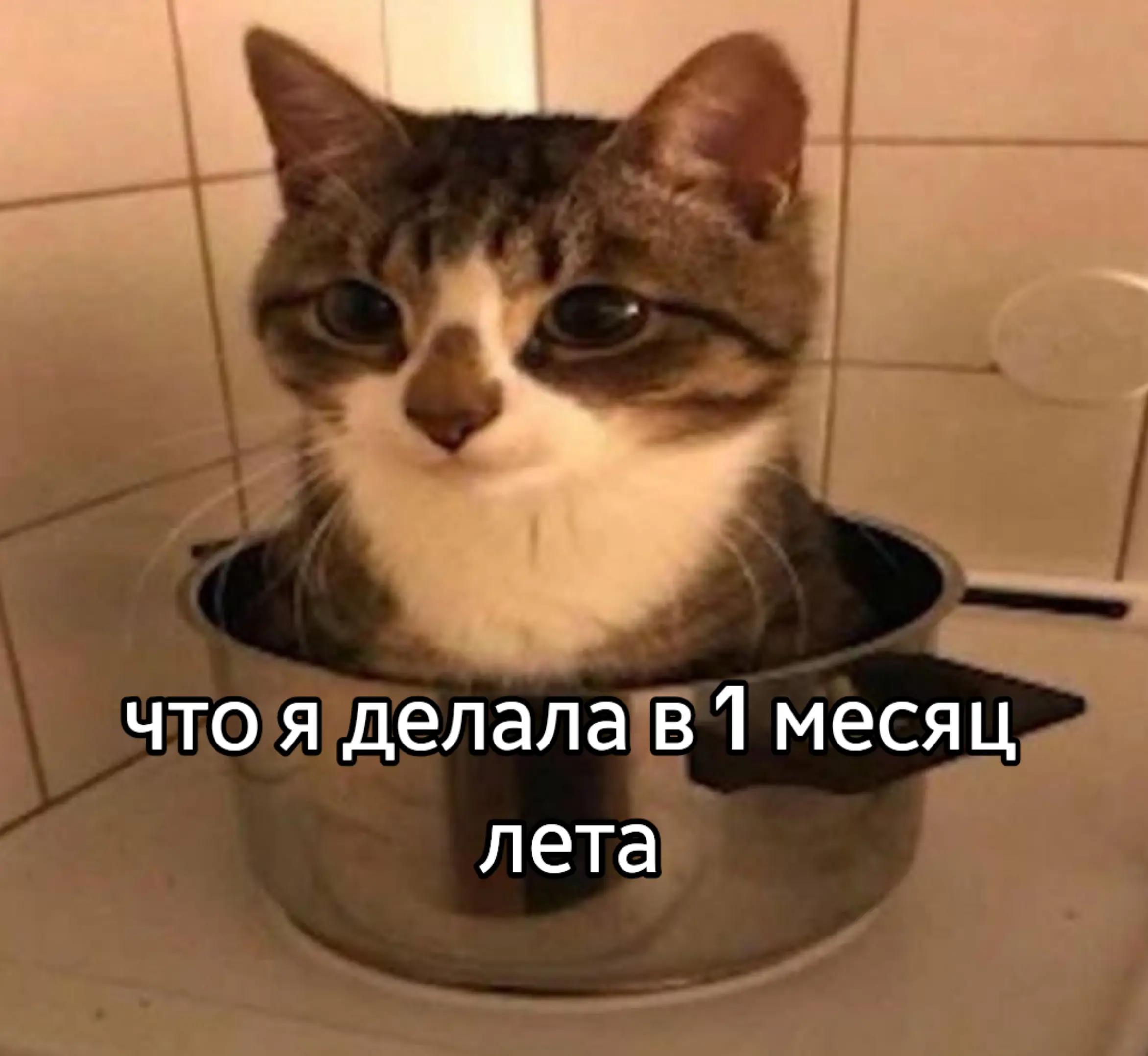 @֪ ˚꒰ 🧷 Misa ୭