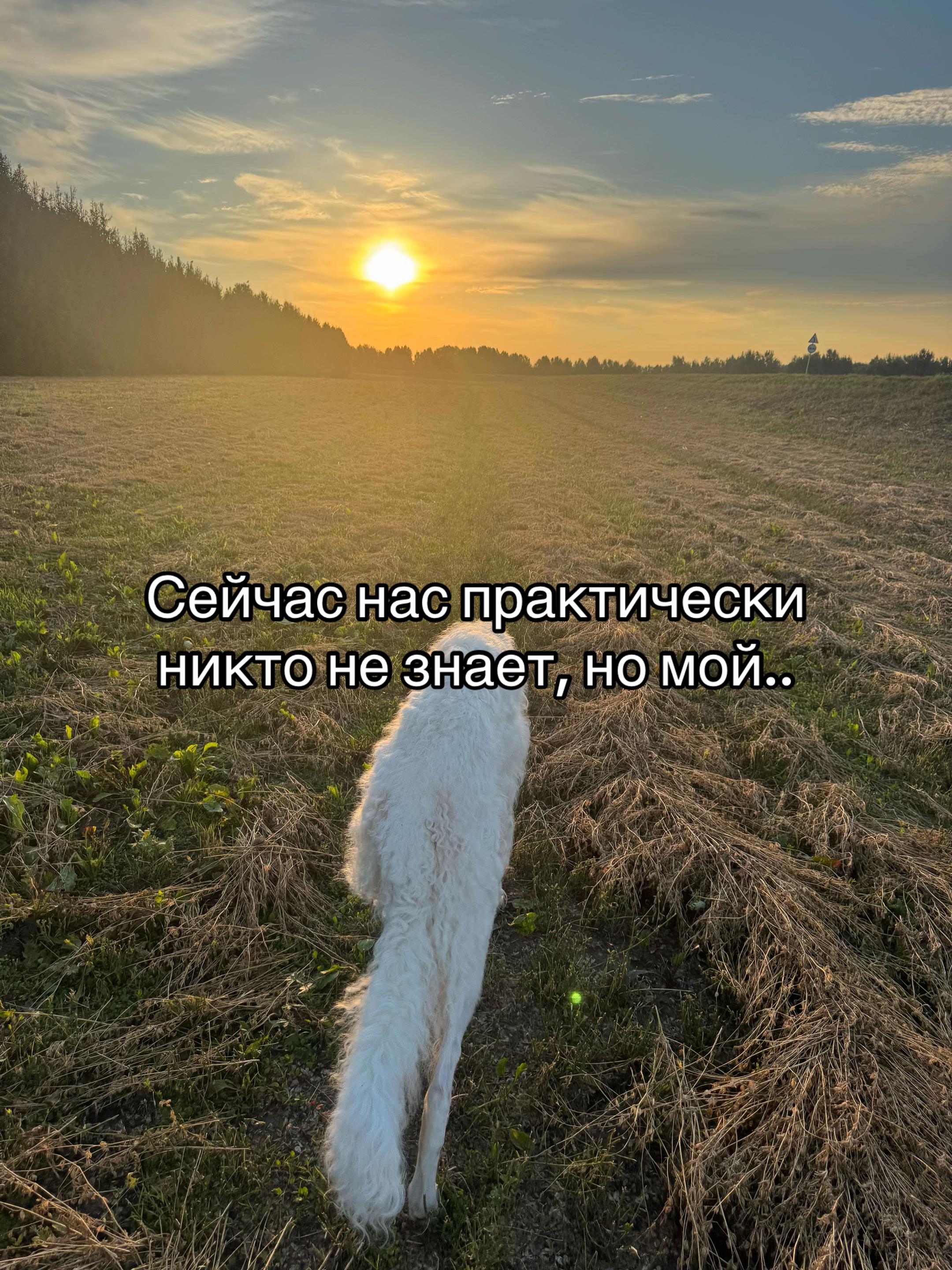 @Кареглазый блондин👁️