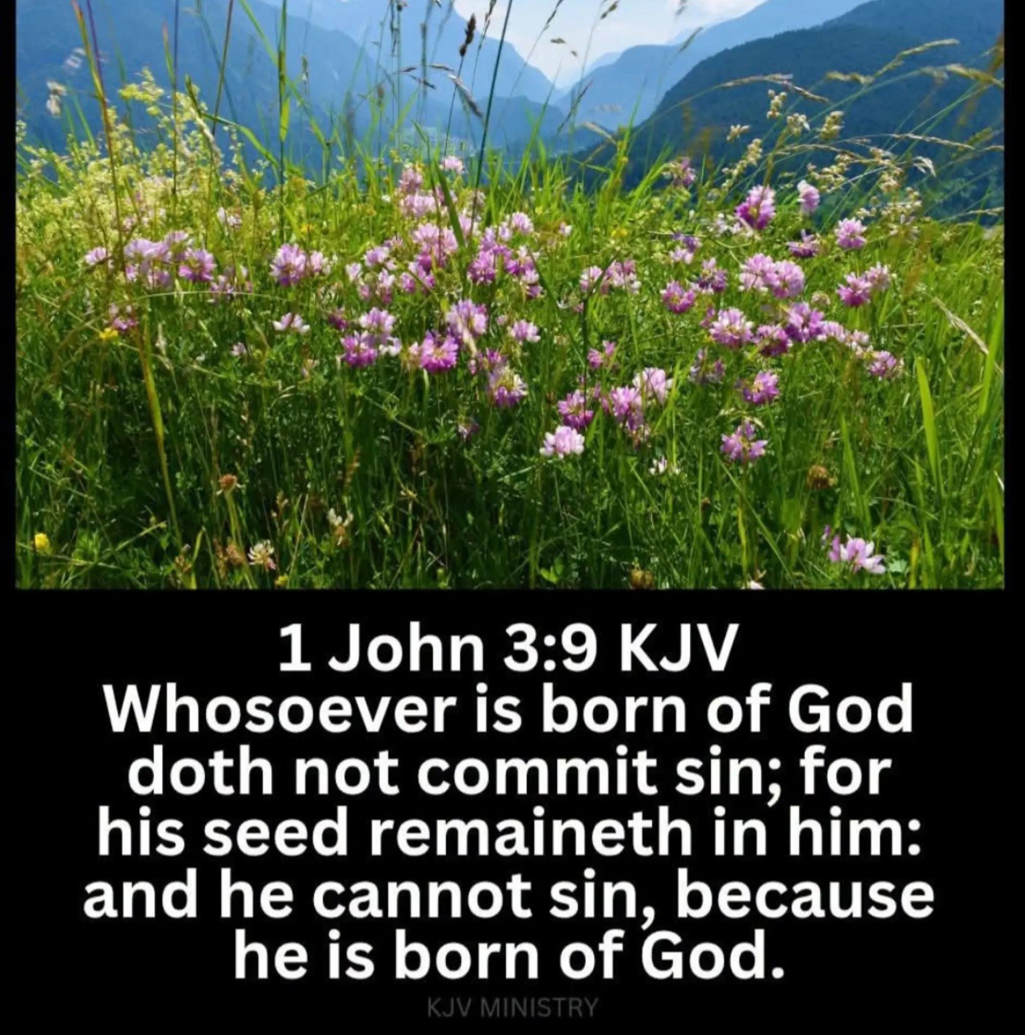 @🕊 Iam🕊NotAshamed🕊OfJesus🕊