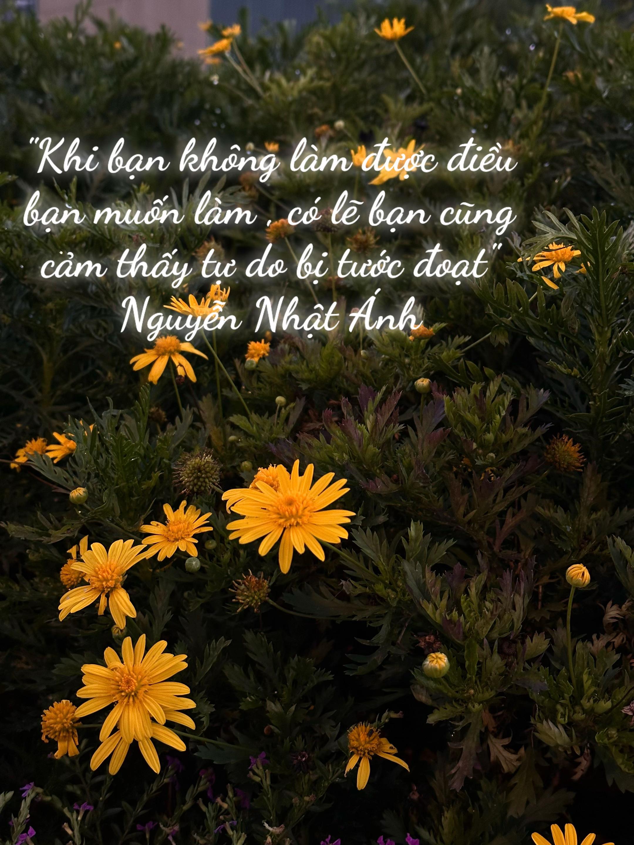 @Nhật k&iacute; rối loạn lo &acirc;u