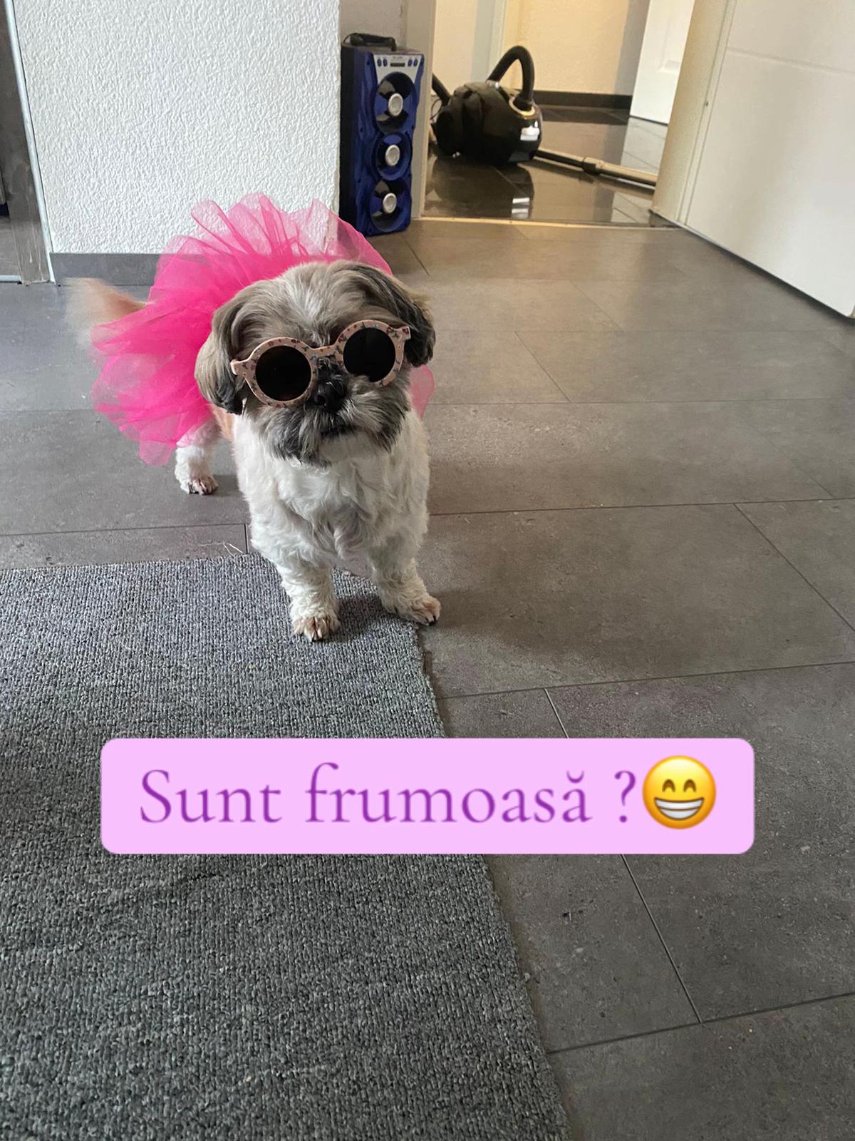 @Bella🐶💕