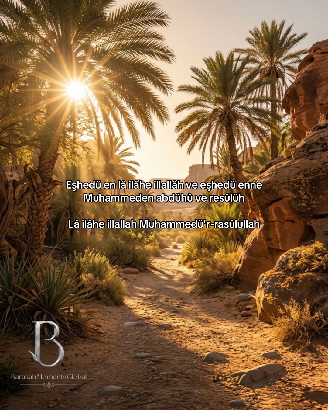 @BarakahMomentsGlobal