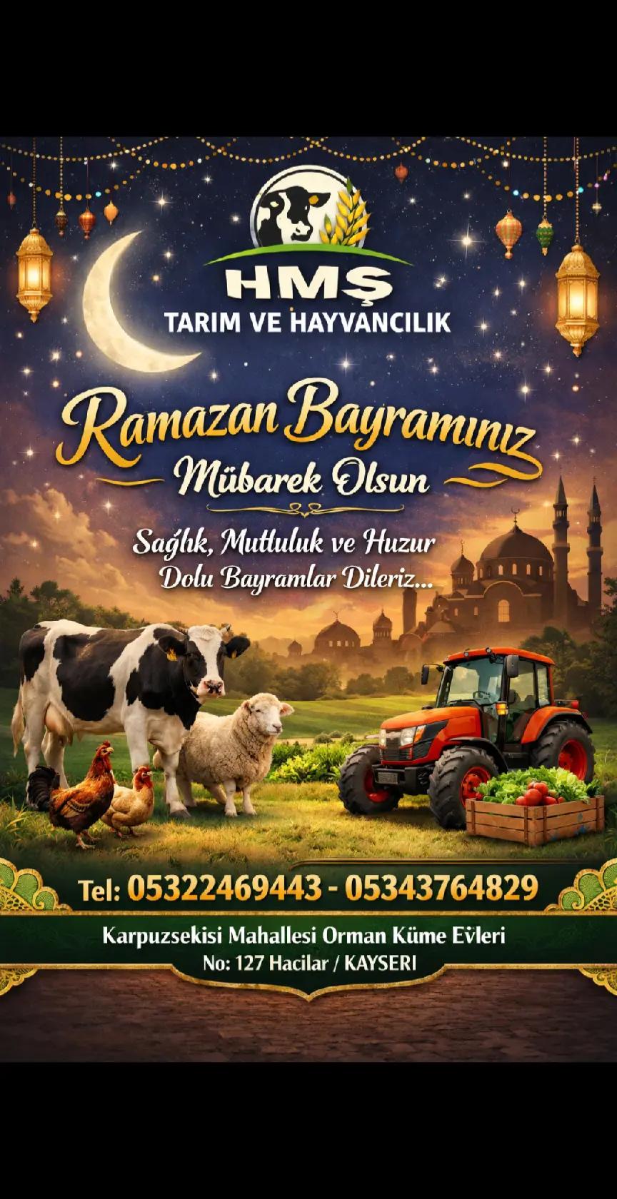 @Mehmet Şamlı