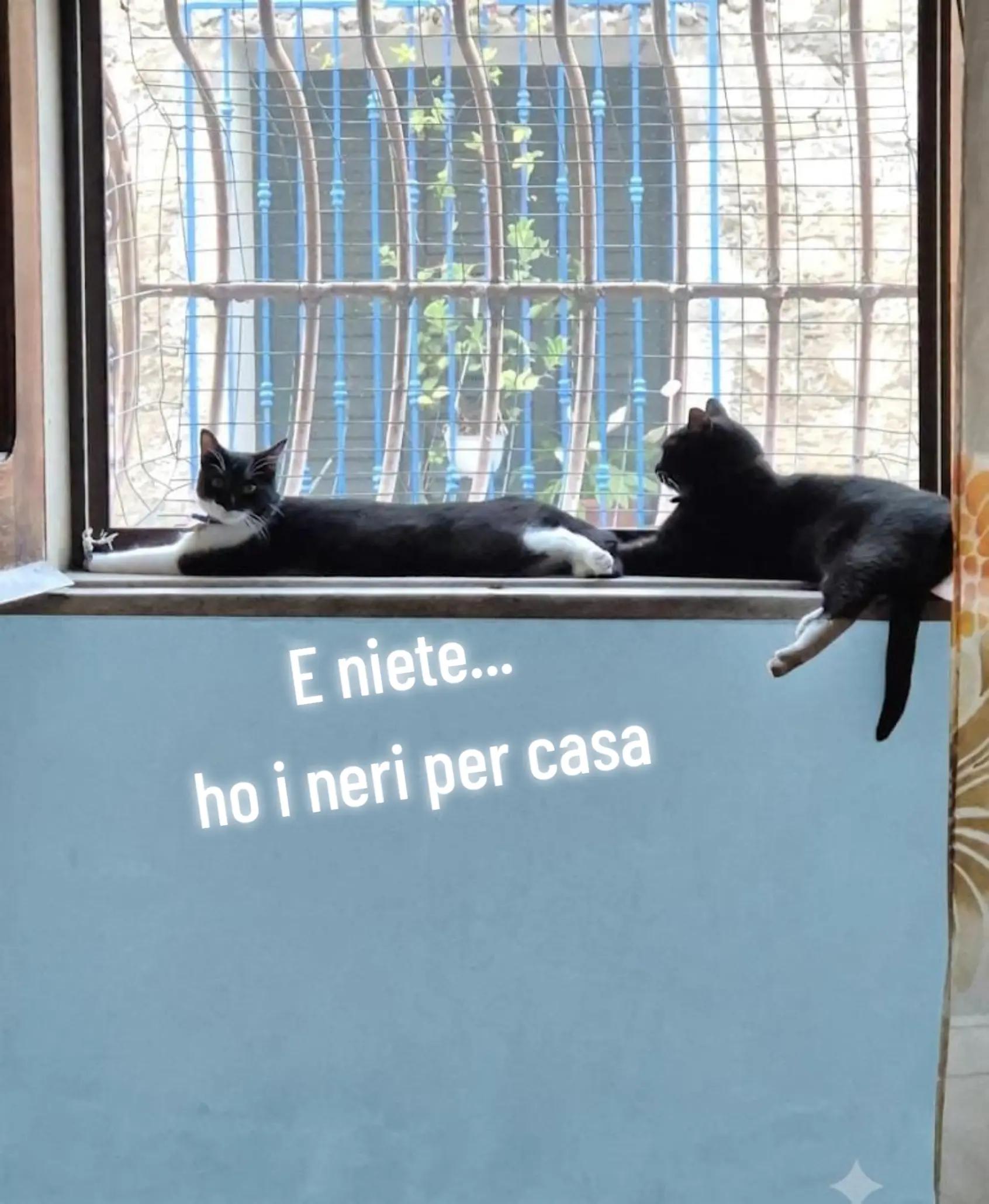 @Anna De Luca