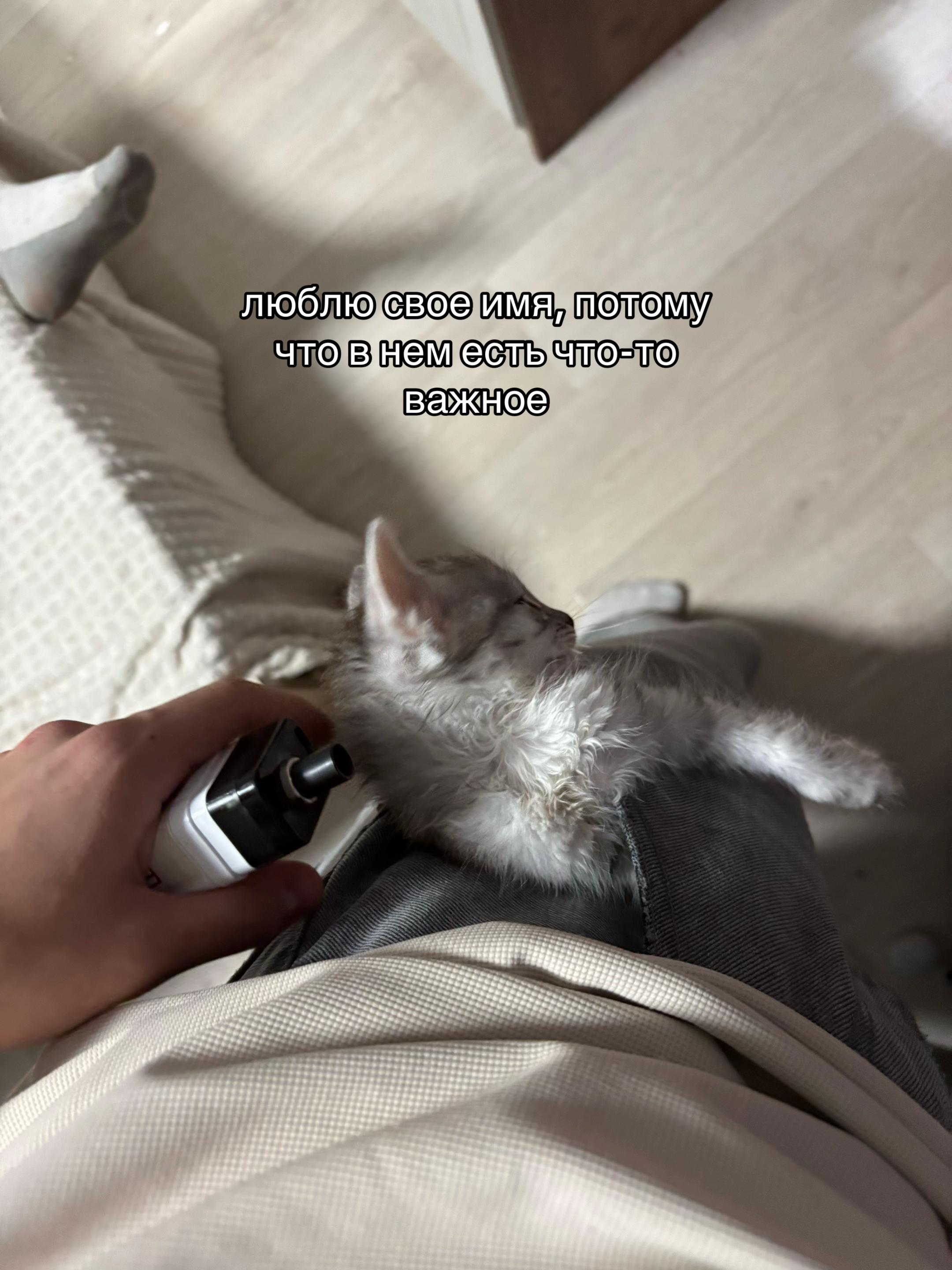 @тгк: ᴋиᴩюɯᴀ⚔️