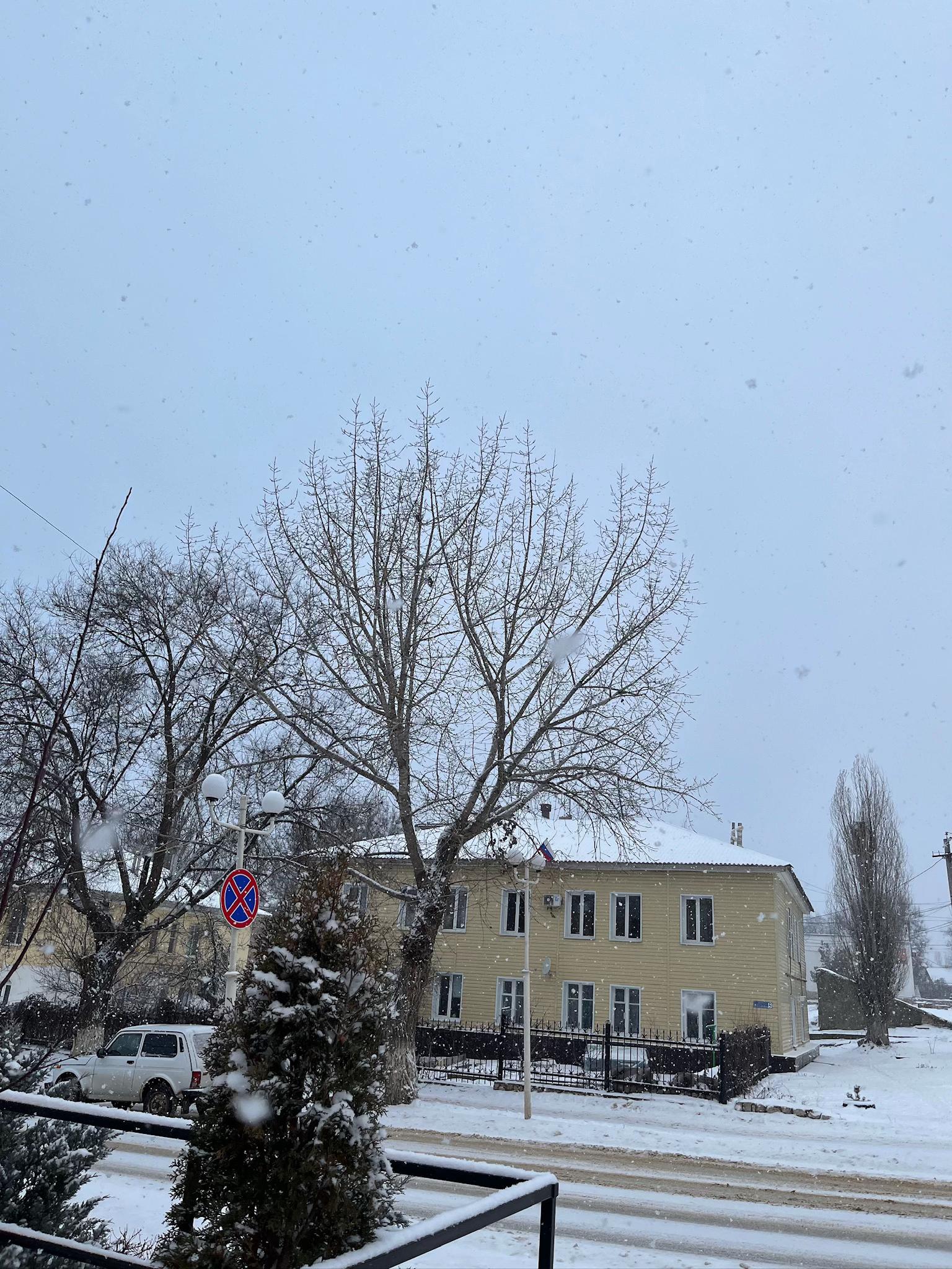 @лиза я