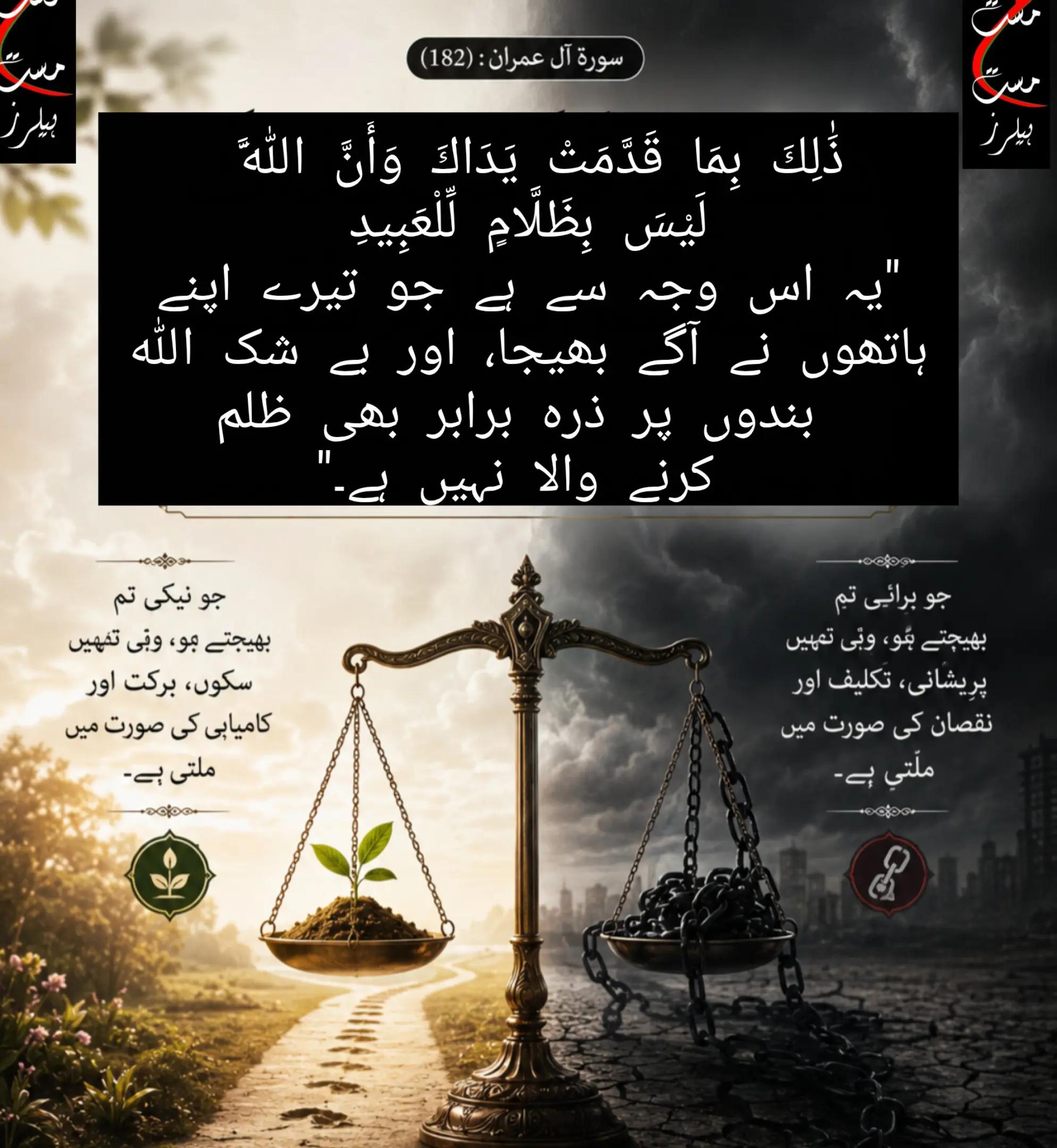 @Shu Maila