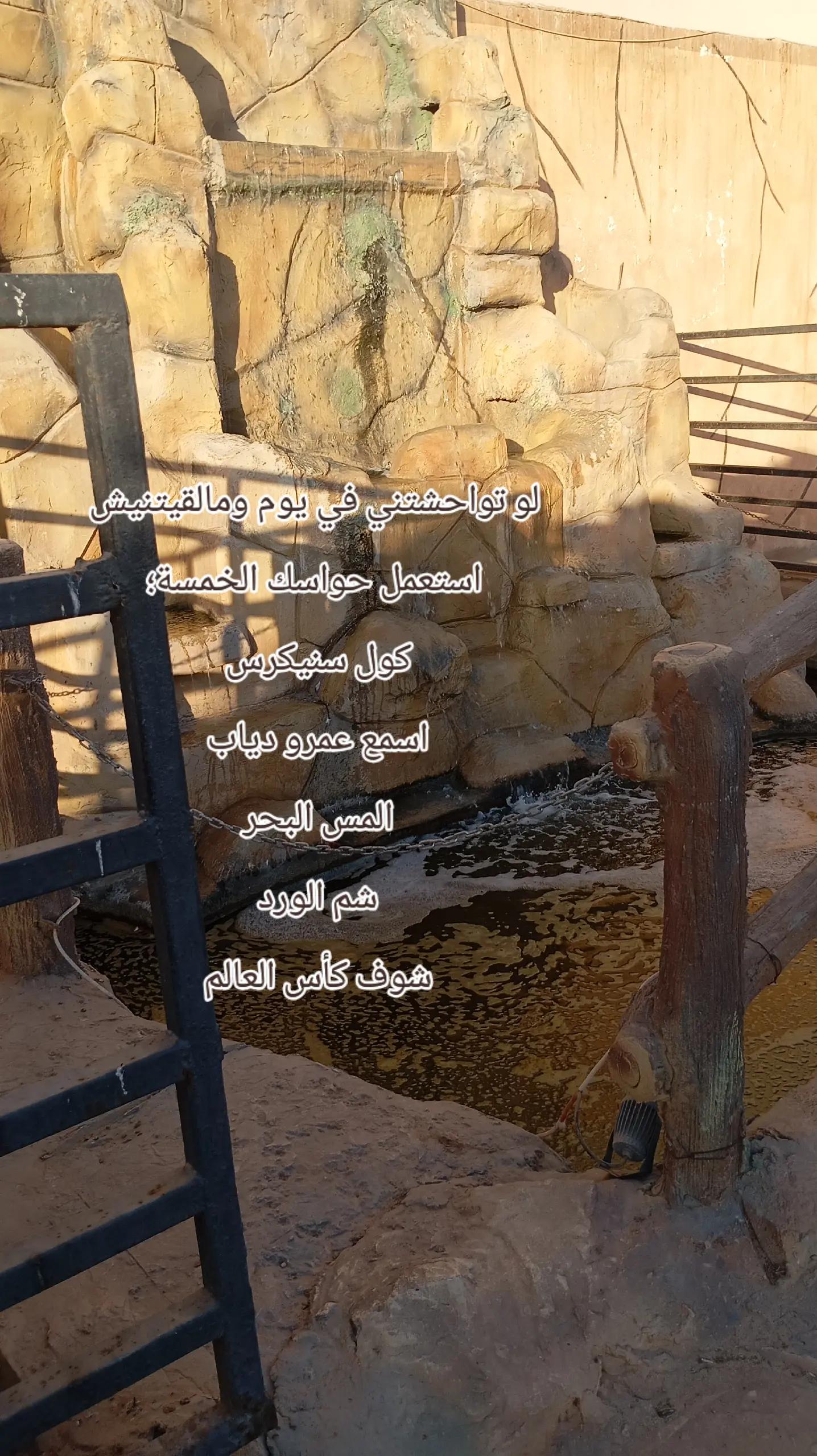@لوميᥫ᭡