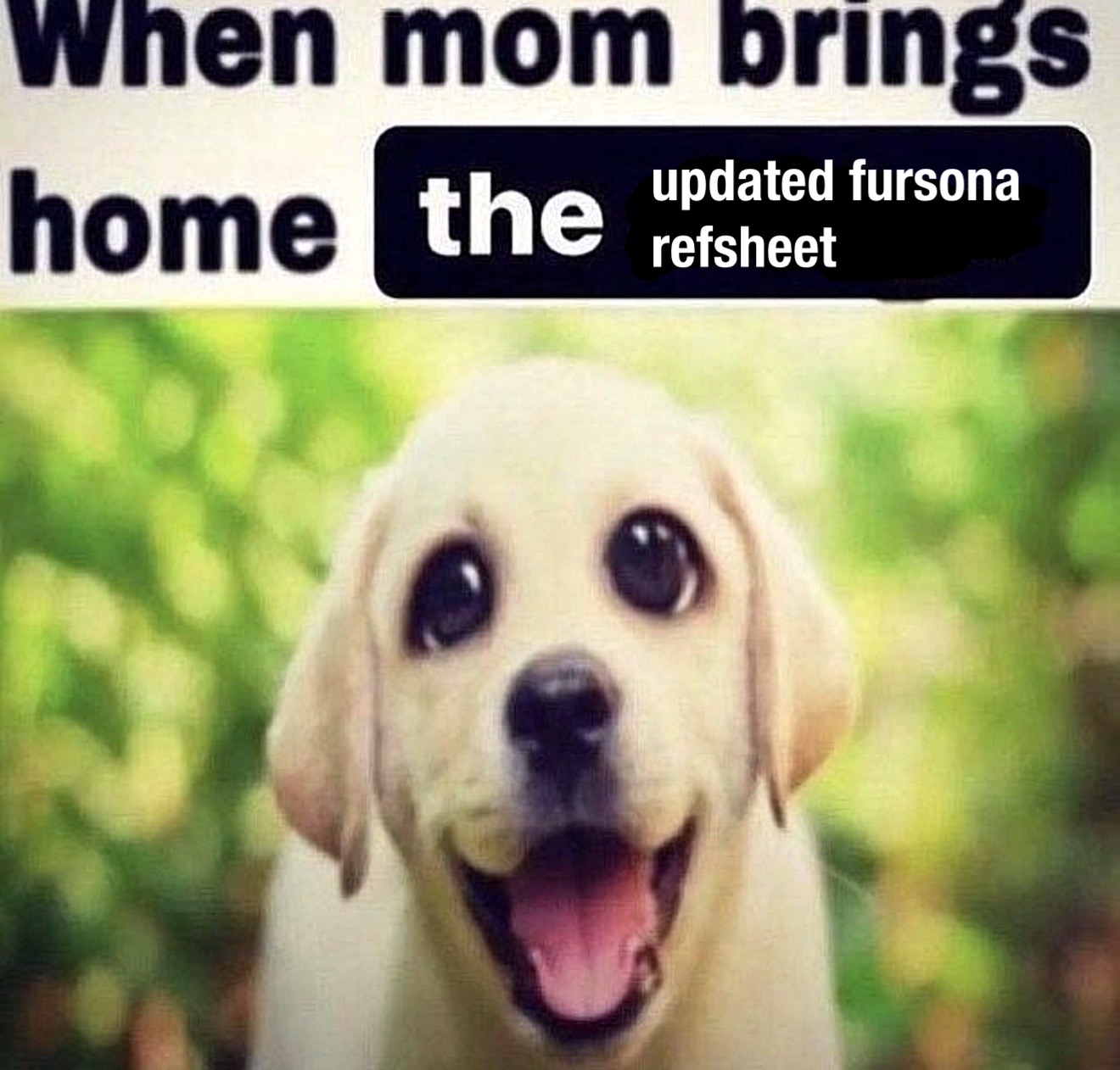 @☠️ dex ☠️
