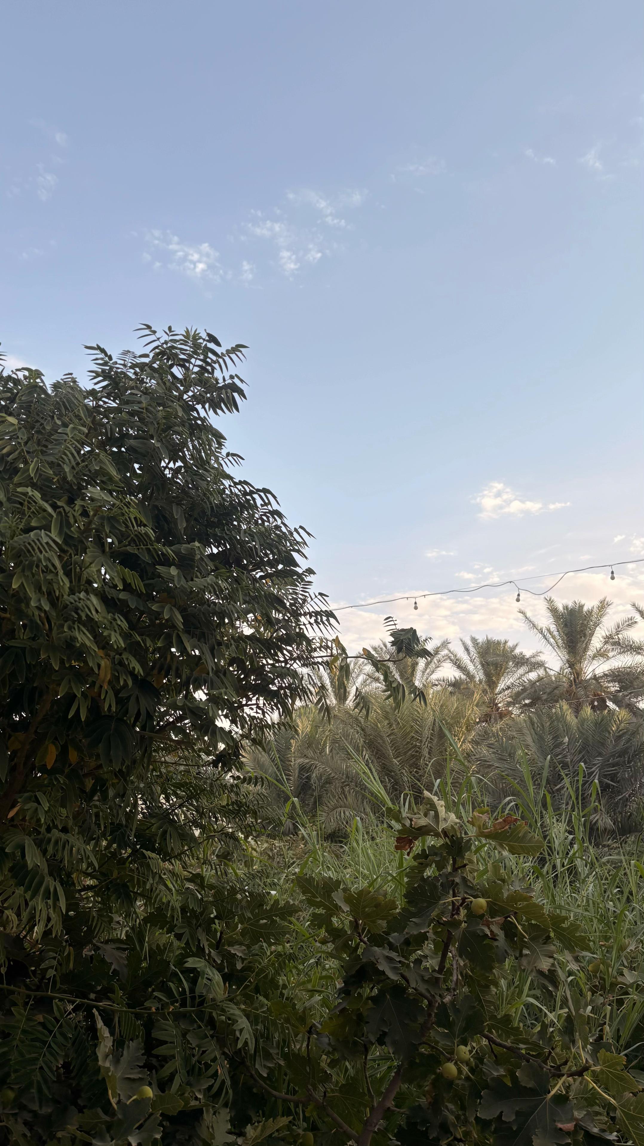 @ARWA🪄