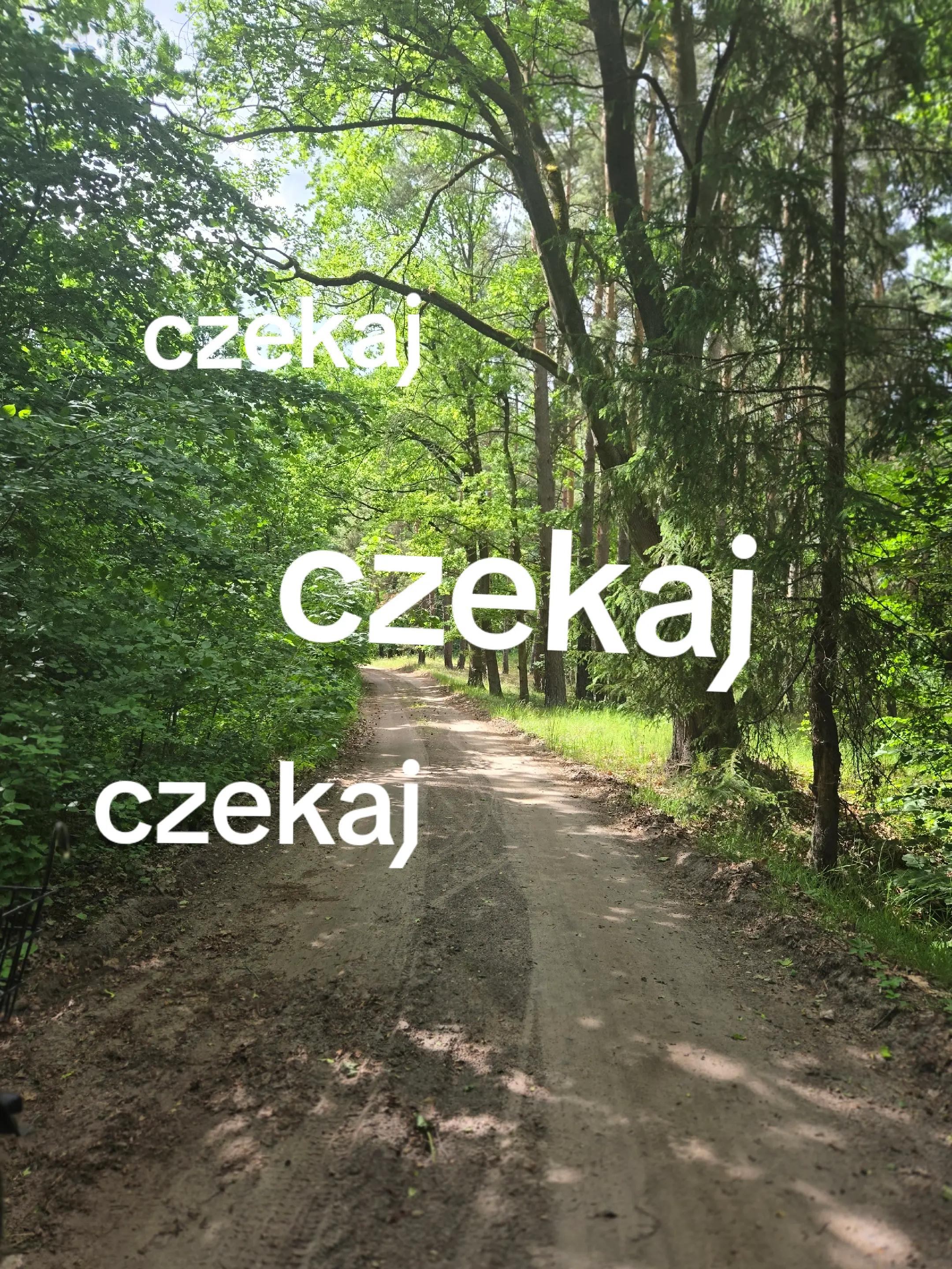 @tosiek320ok