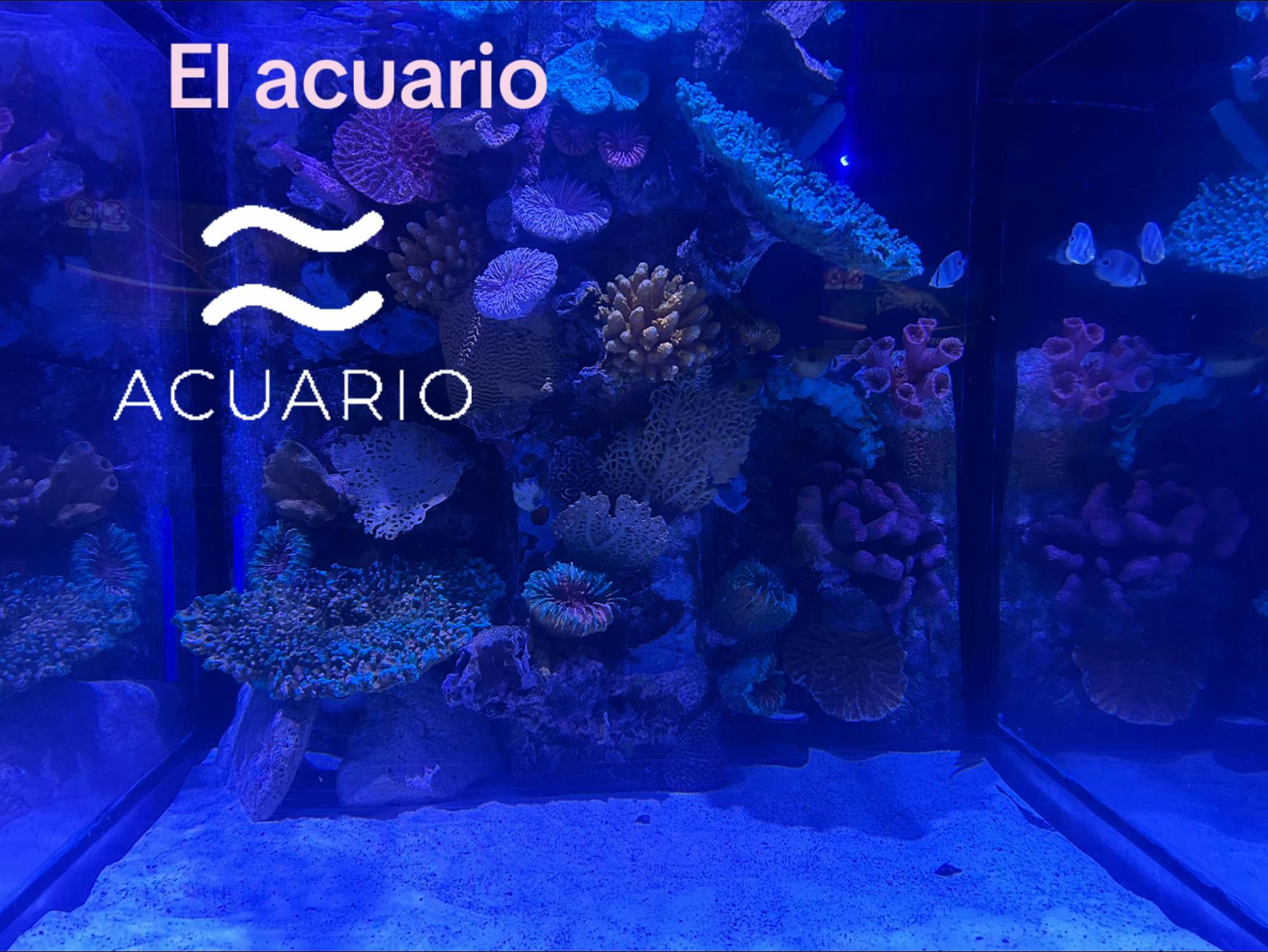 @★&dagger;&laquo;&laquo;★jackito0789★&raquo;&raquo;&dagger;★