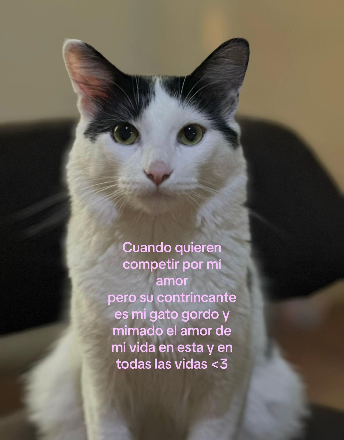 @andrea_nvz