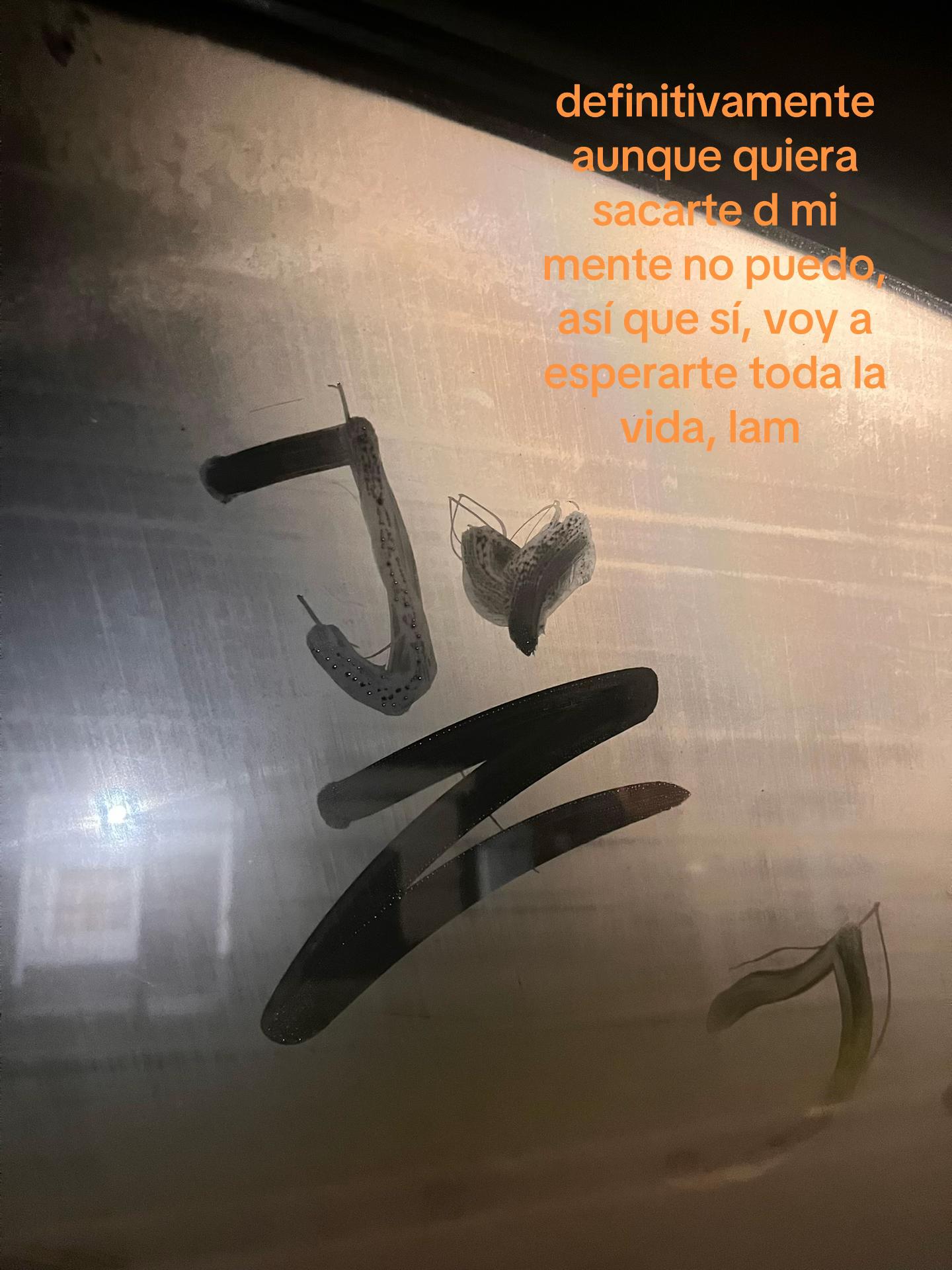 @josslarrosaaa