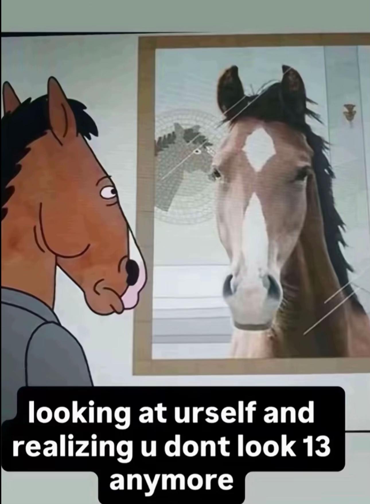 @imja