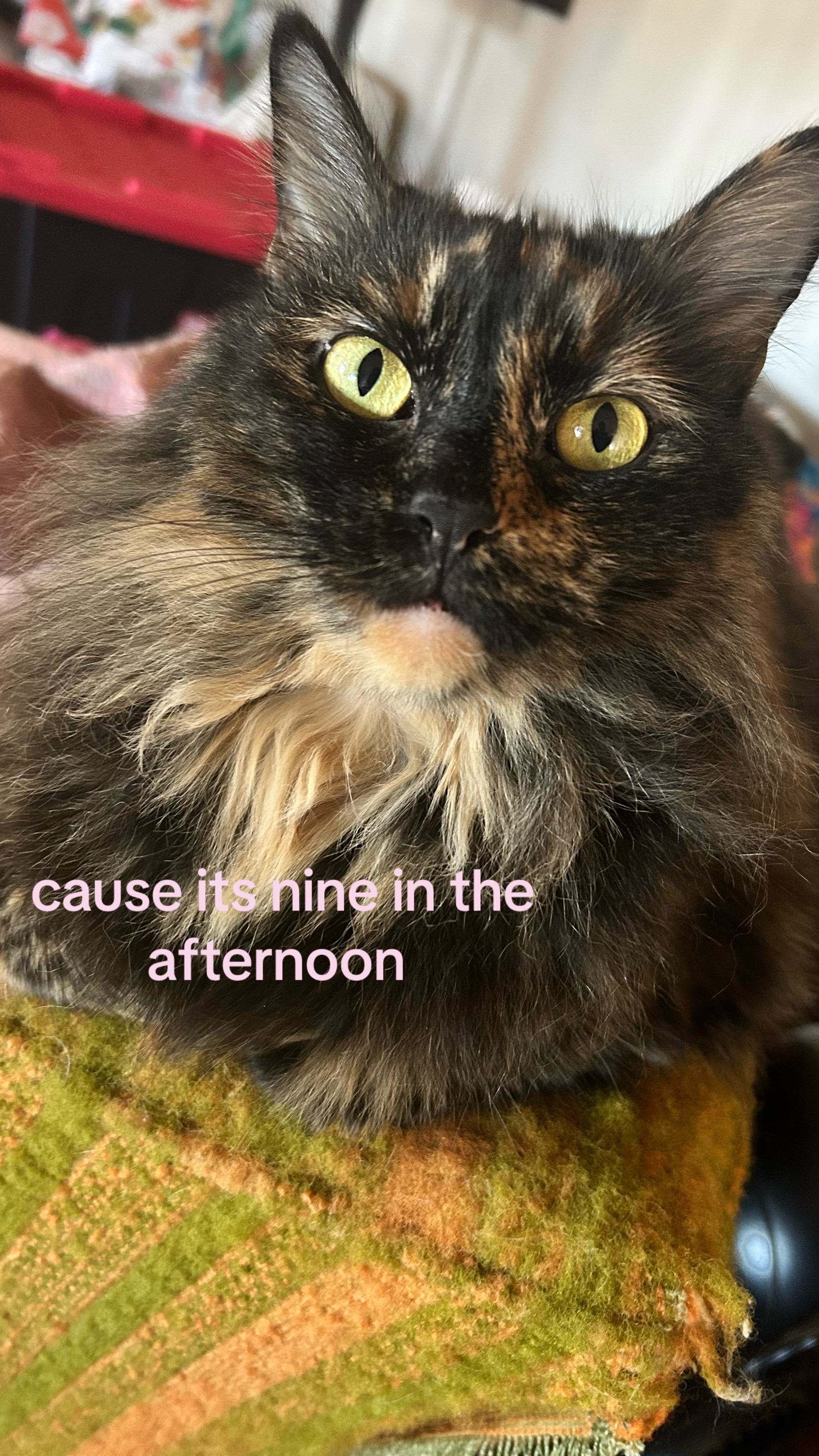 @(sylvie˙⋆✮