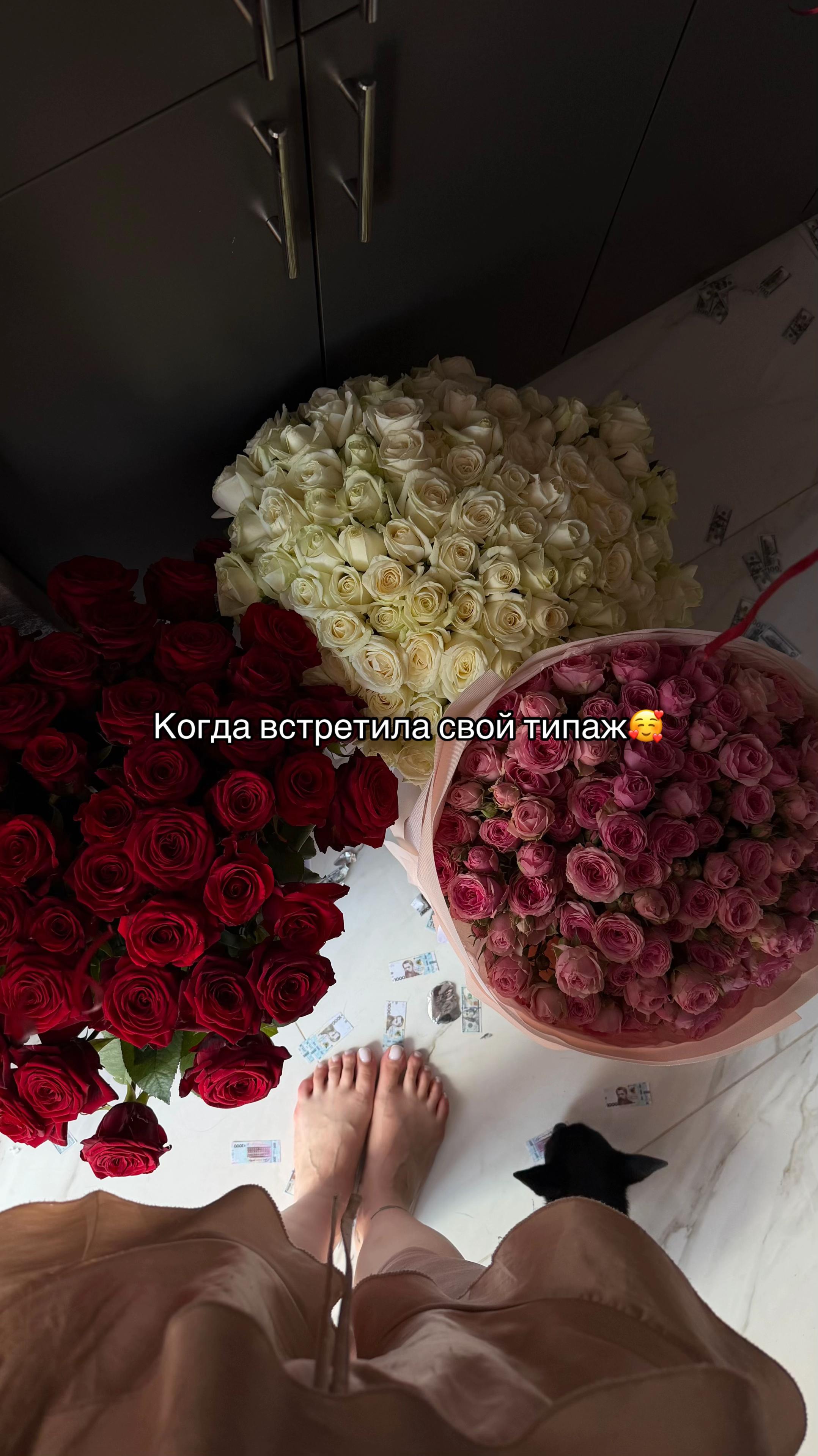 @dalekseeva