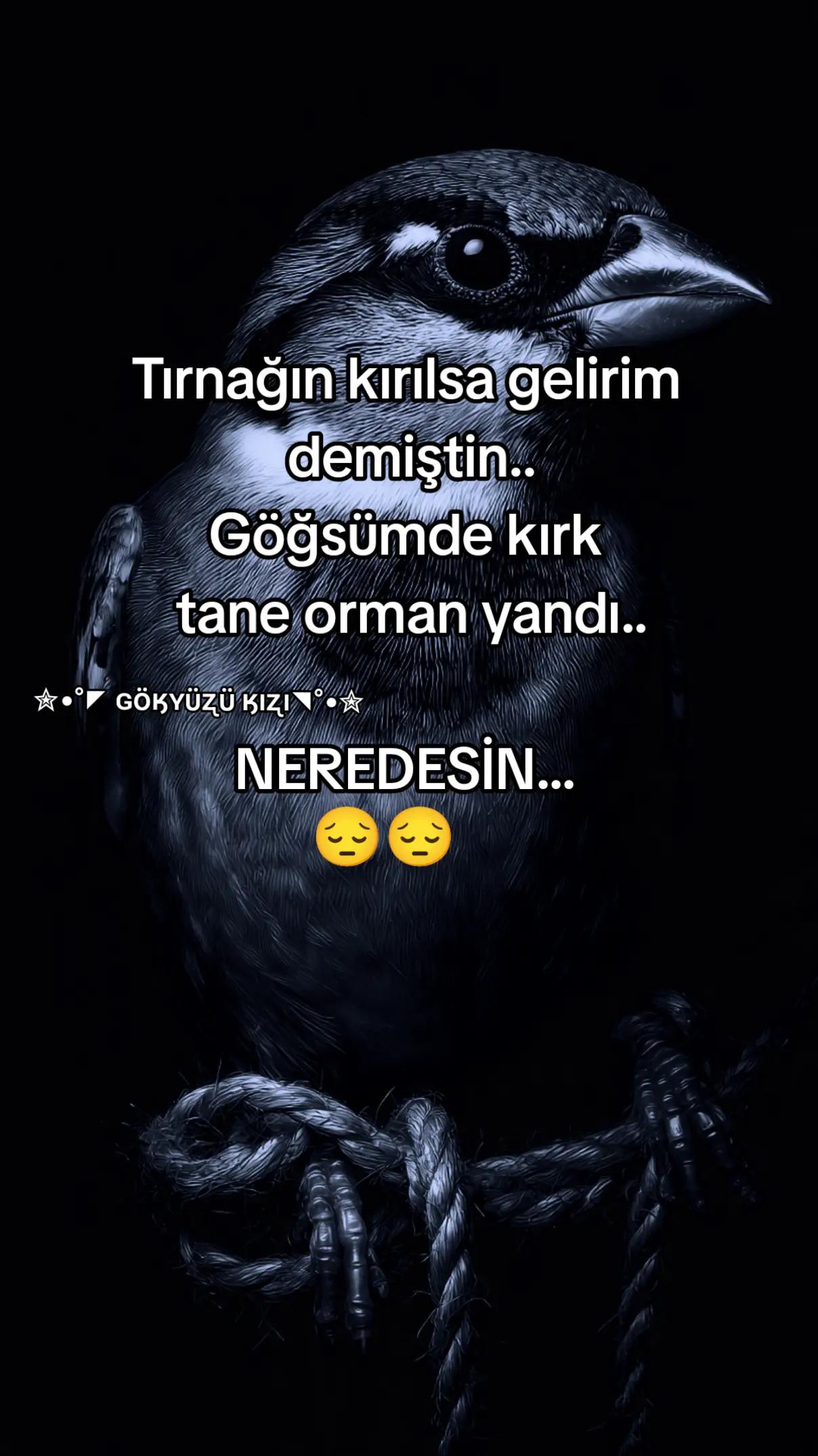 @༺✮&bull;&deg;◤ɢ&ouml;ӄʏ&uuml;ʐ&uuml; ӄıʐı ◥&deg;&bull;✮༻