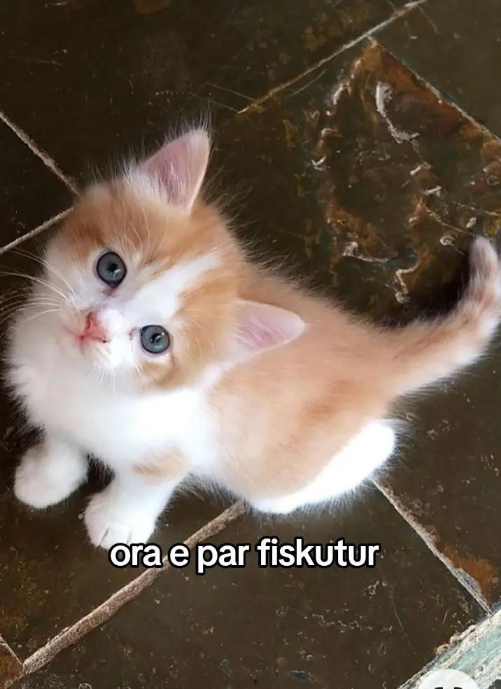 @igfcbhgds567ijvcbj