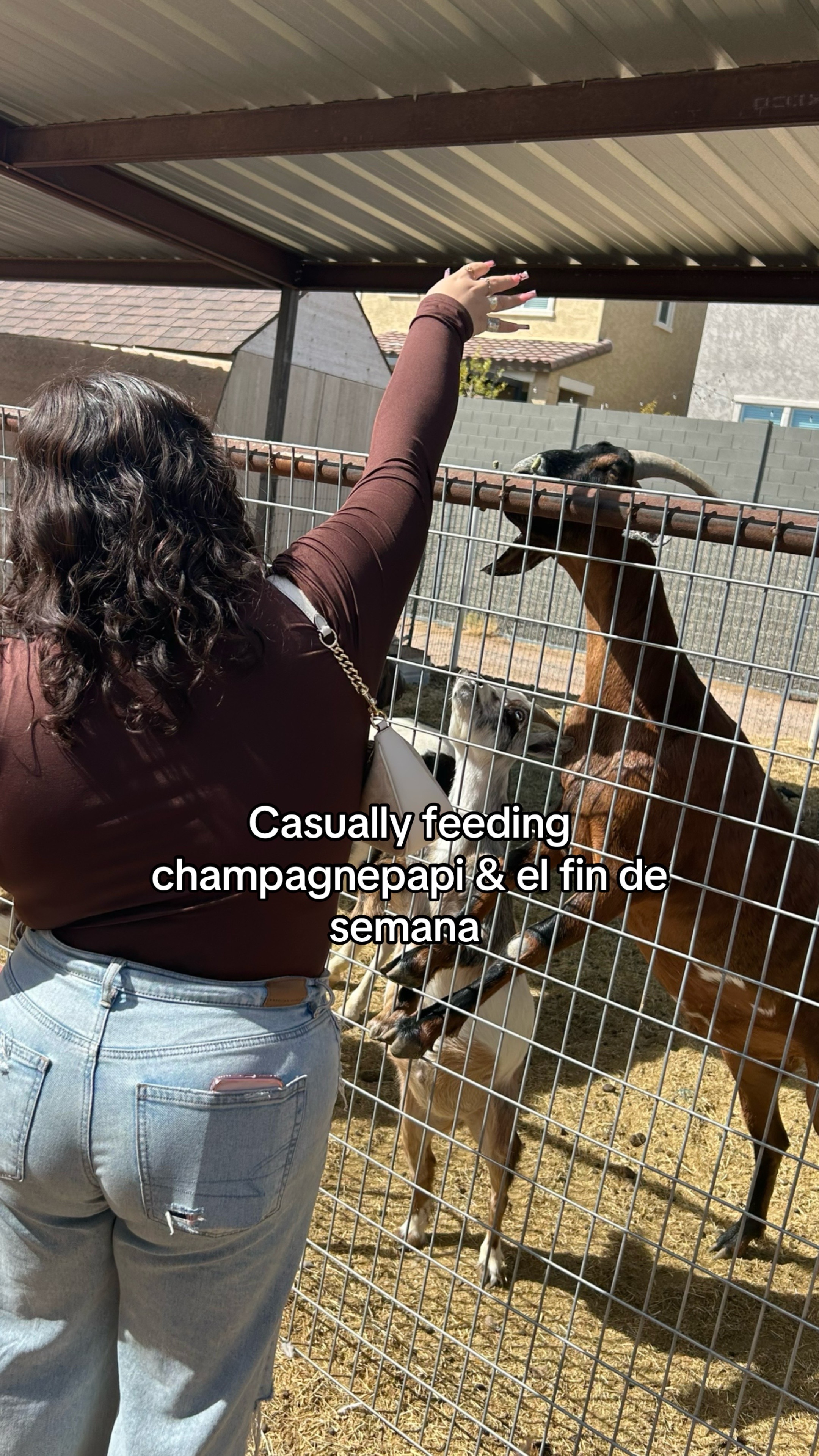 @estrella