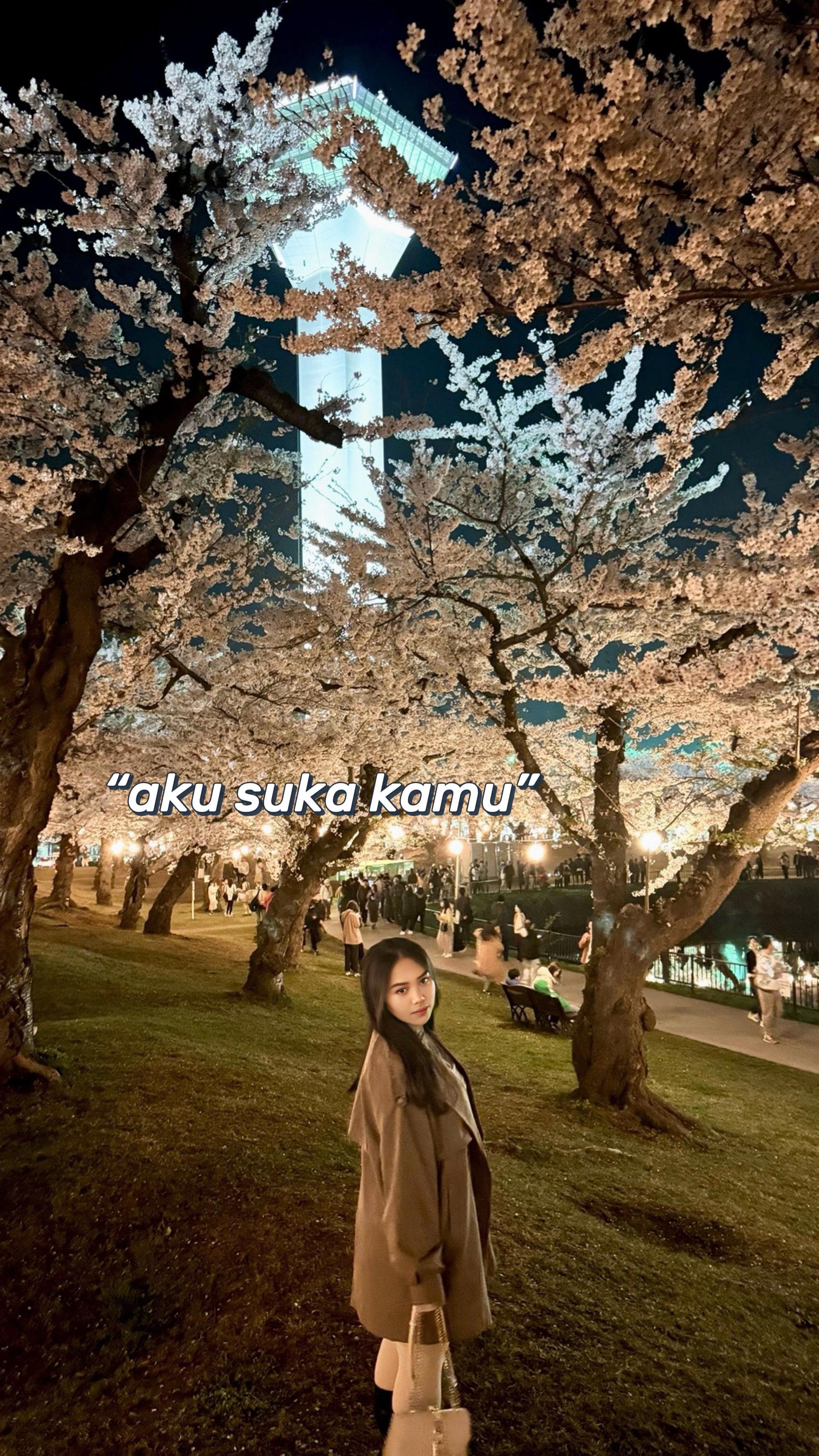 @wakilbupatisapporo