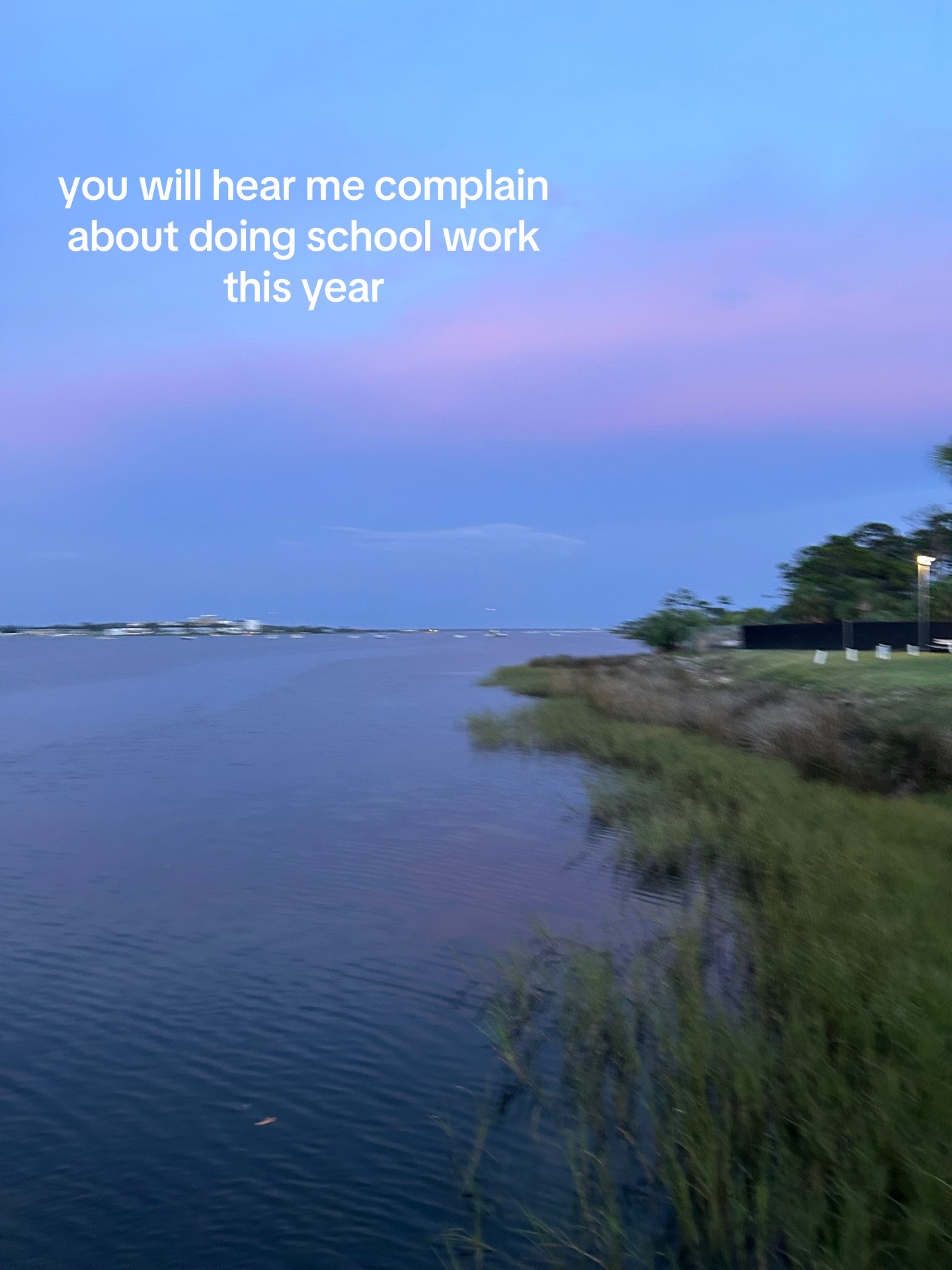 @Z O L A ๐๐๐ชฝ๐๐ฅฅ