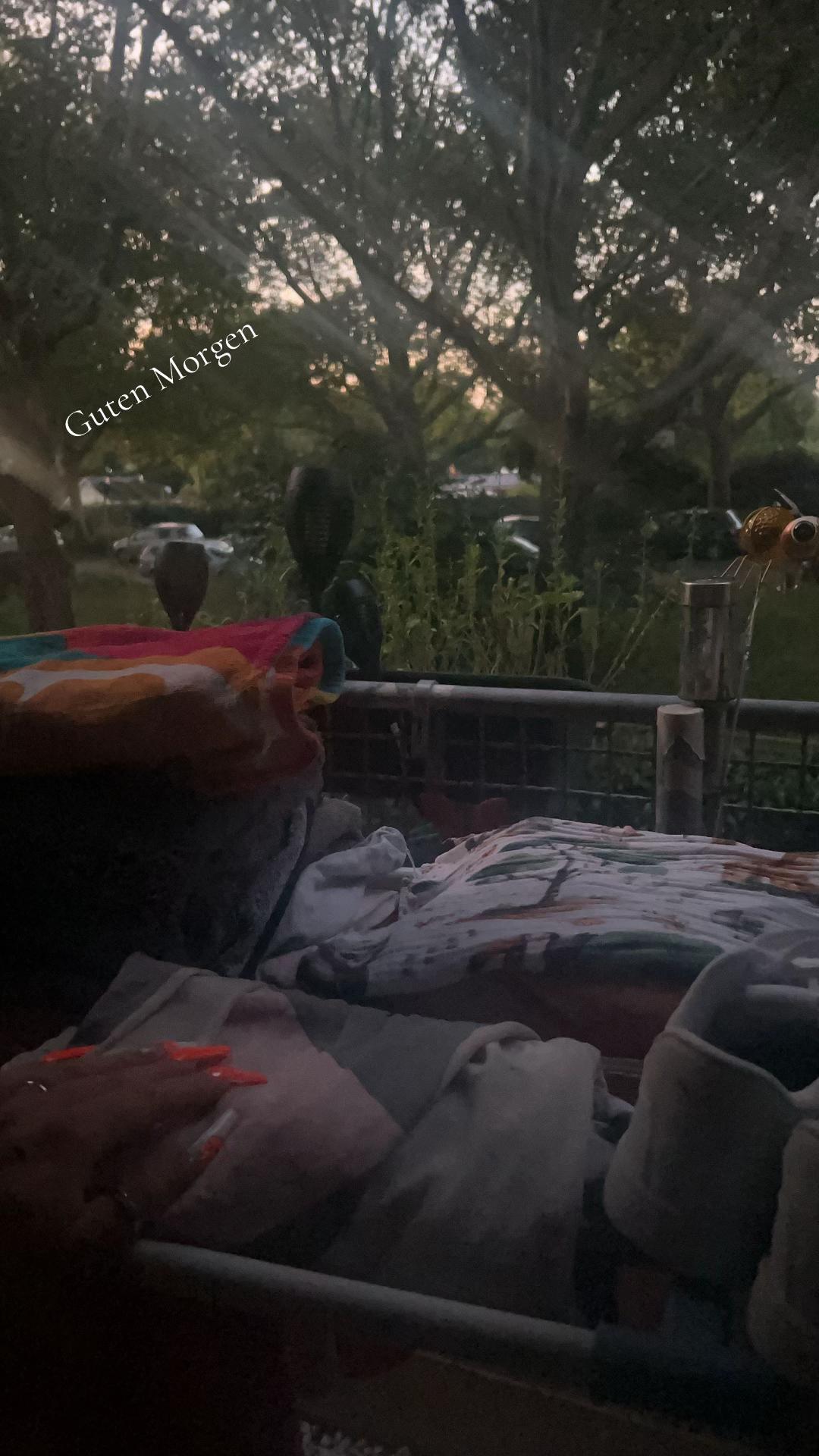 @🦋_mandy_🦋