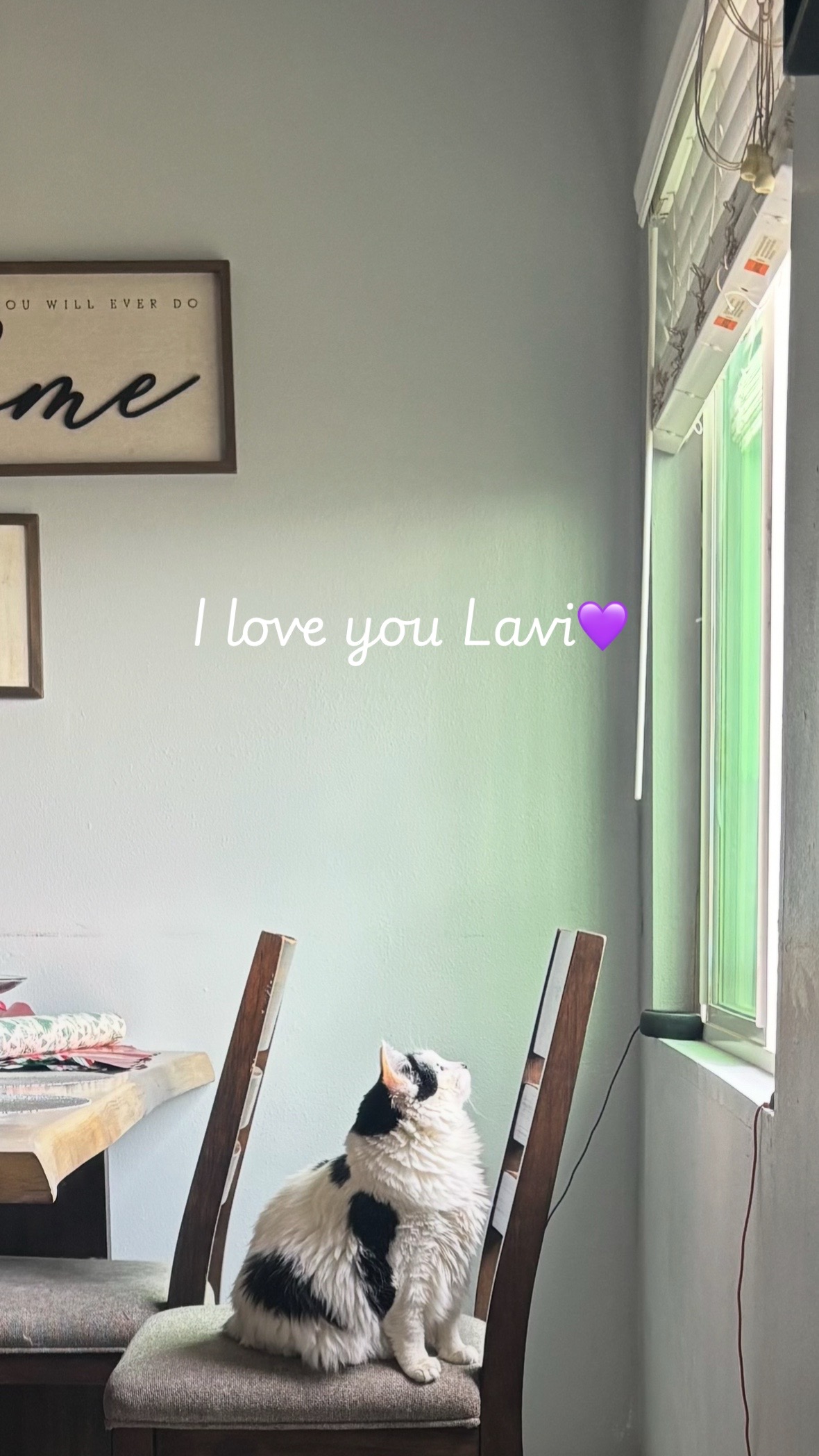 @Lavi♈️