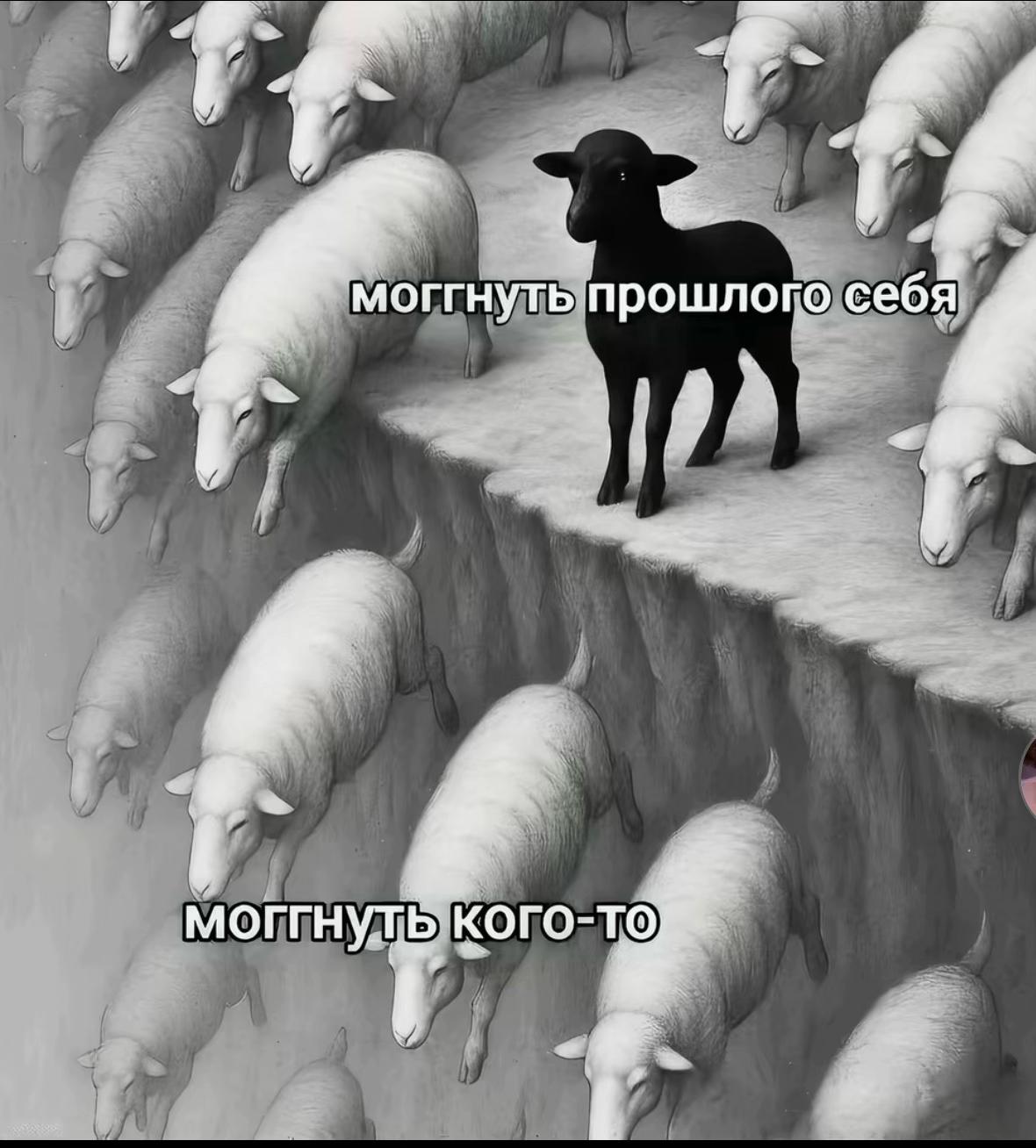 @_mvinokurova