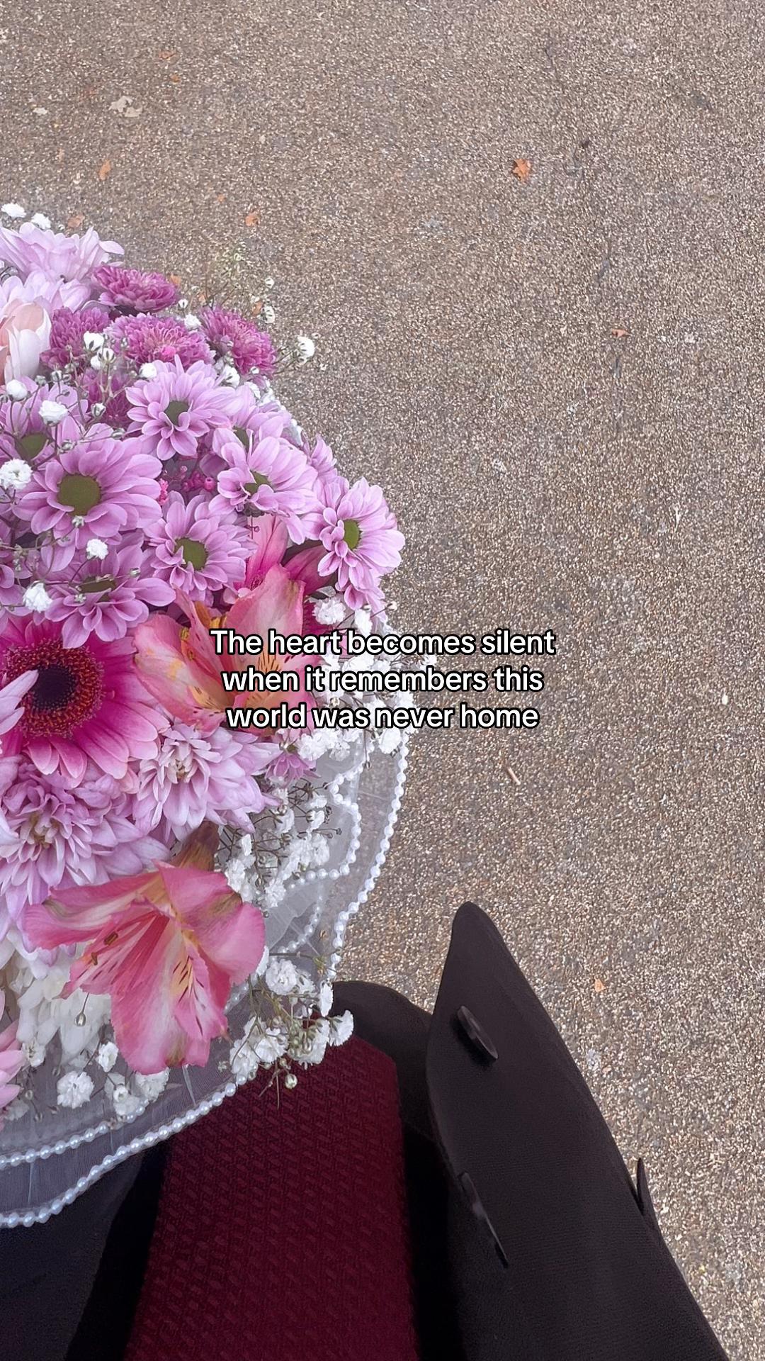 @تحميد