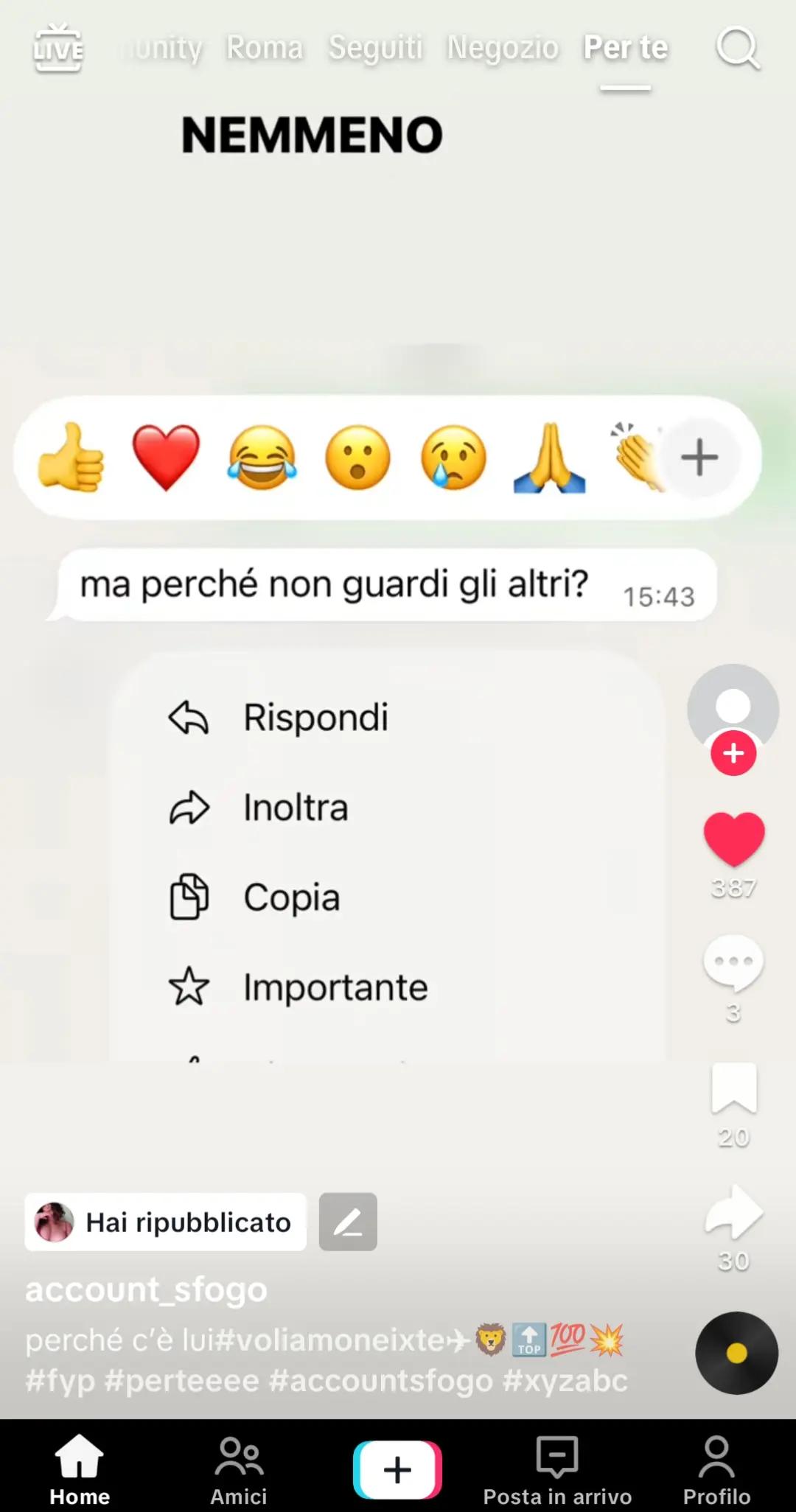 @Veronica Castaldo