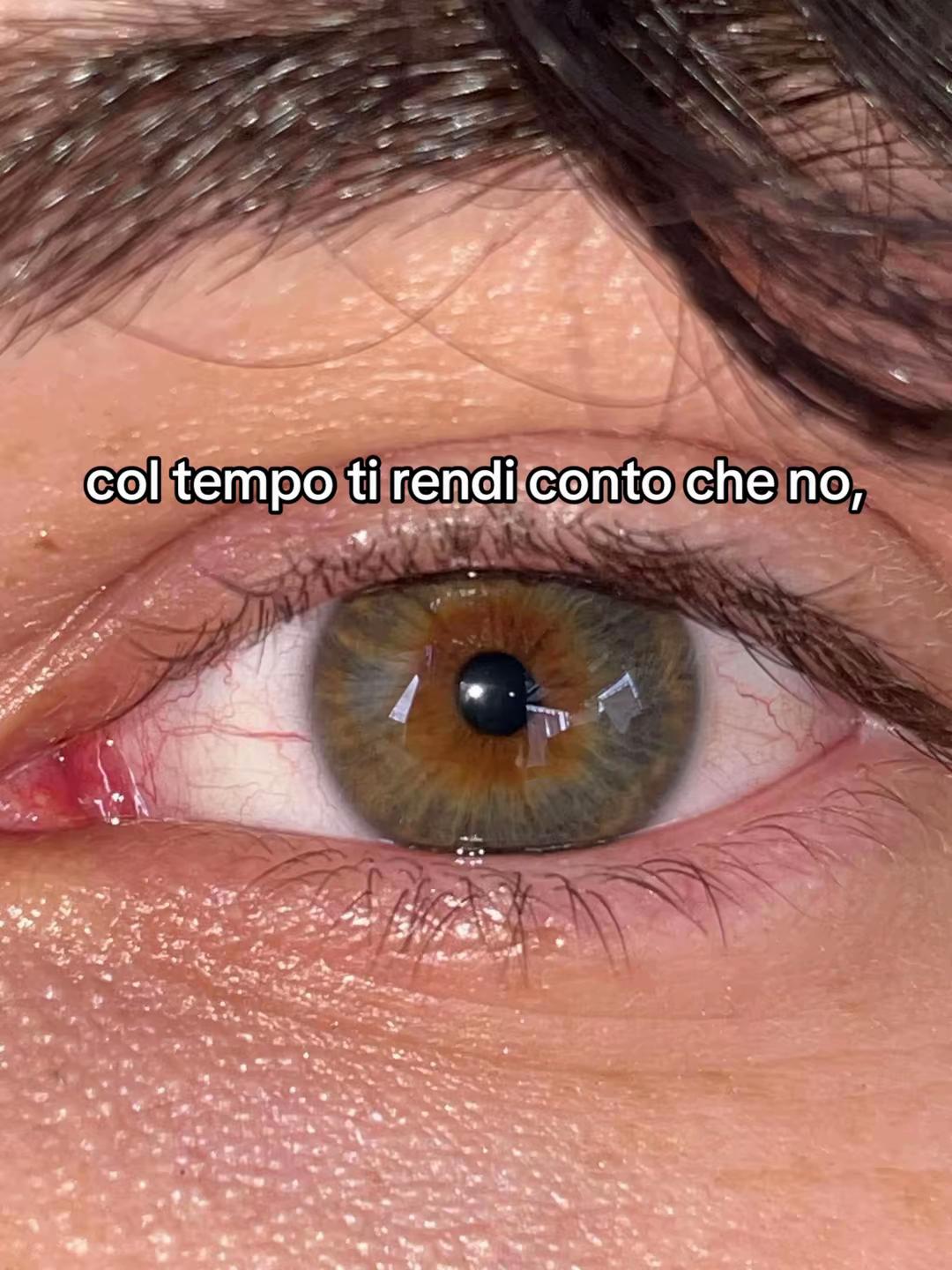 @toccii